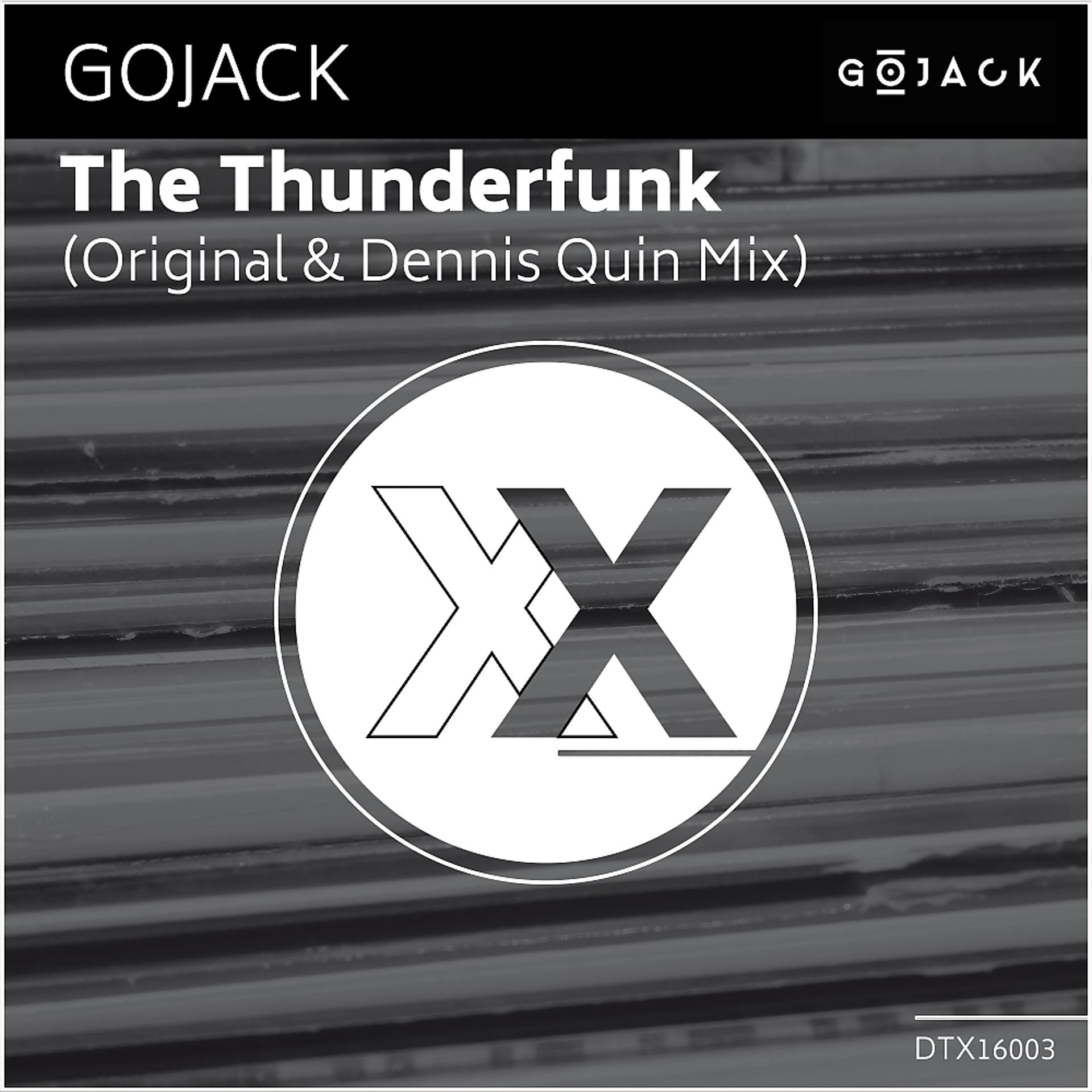 Постер альбома The Thunderfunk (Incl. Dennis Quin Mix)