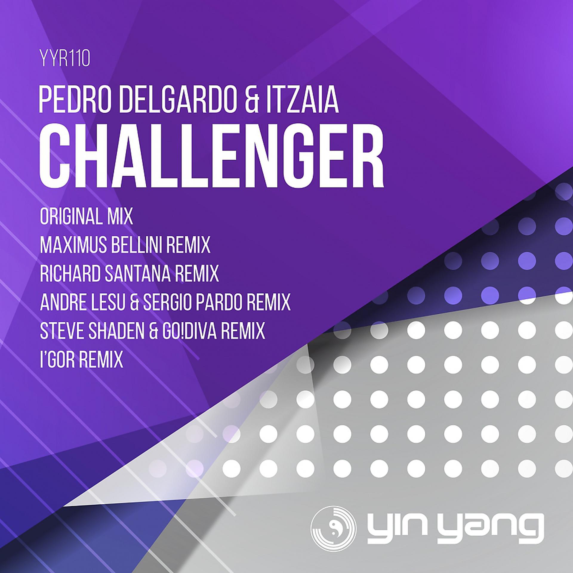 Постер альбома Challenger