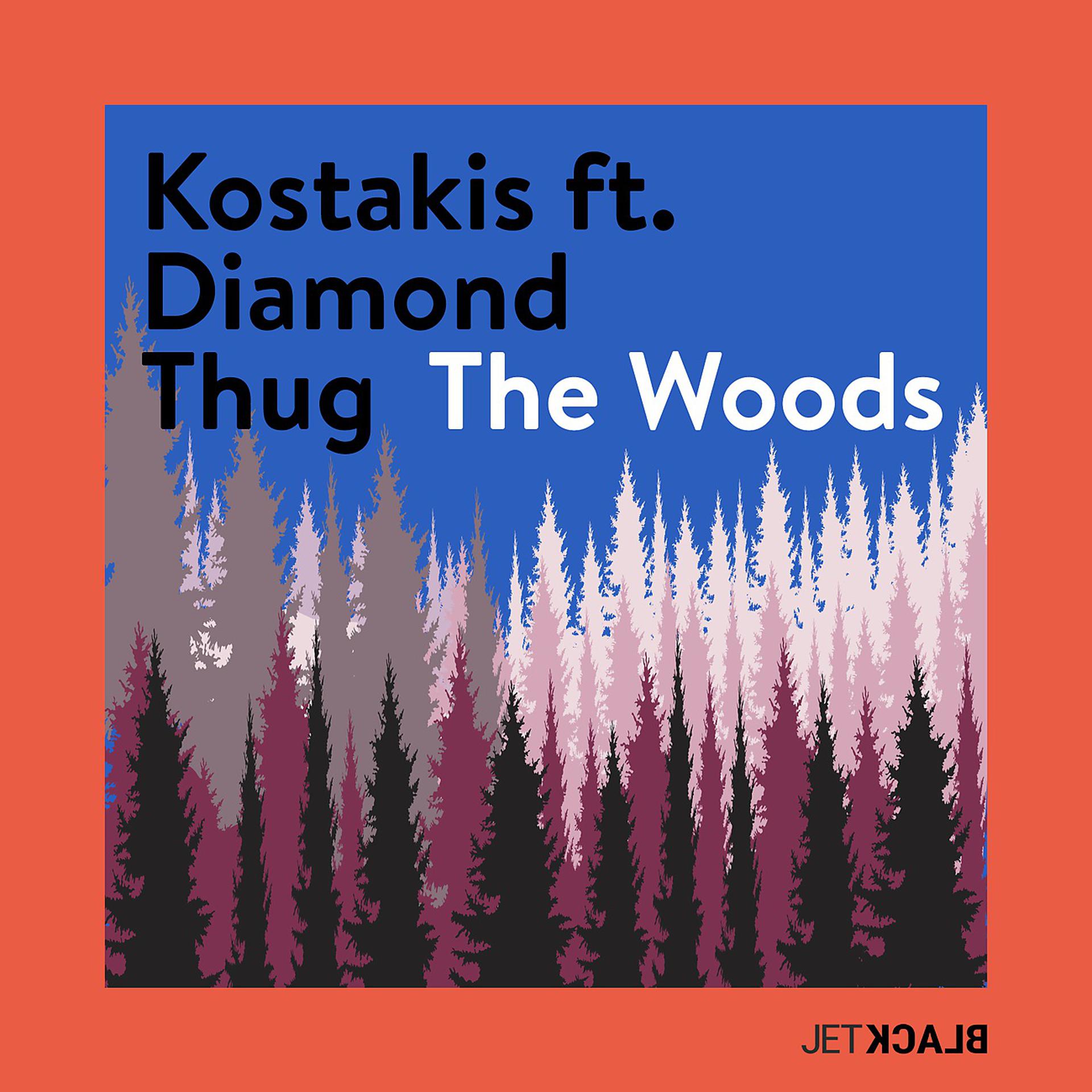 Постер альбома The Woods (Edit)