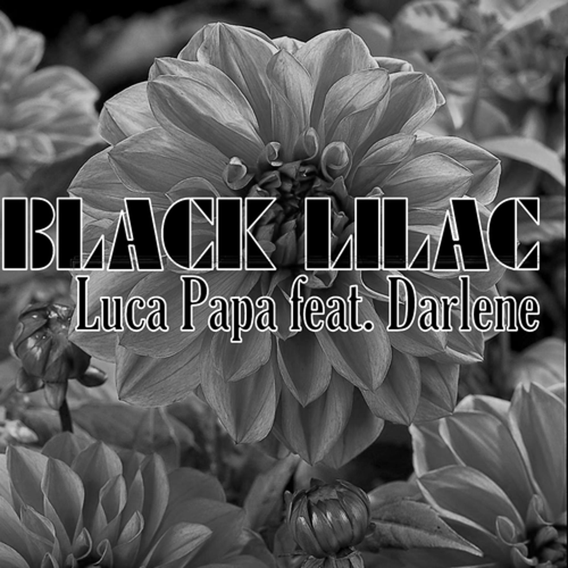 Постер альбома Black Lilac