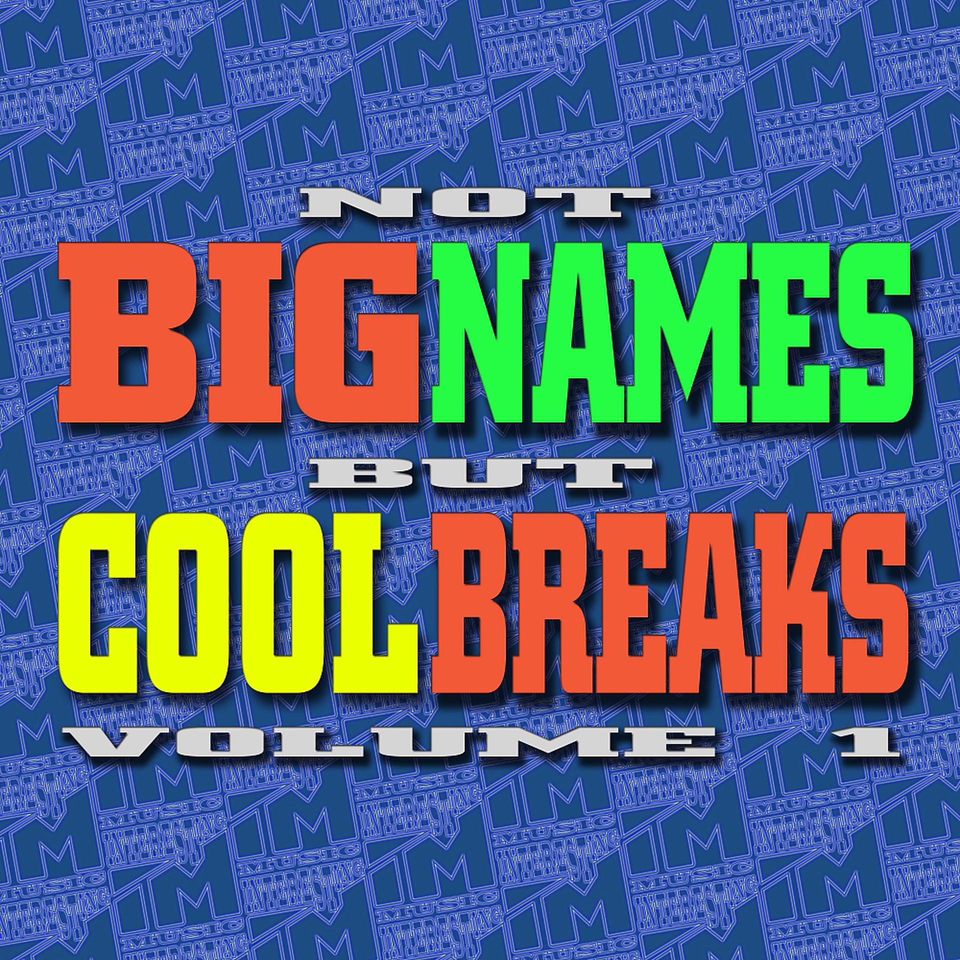 Постер альбома Not Big Names But Cool Breaks, Vol. 1