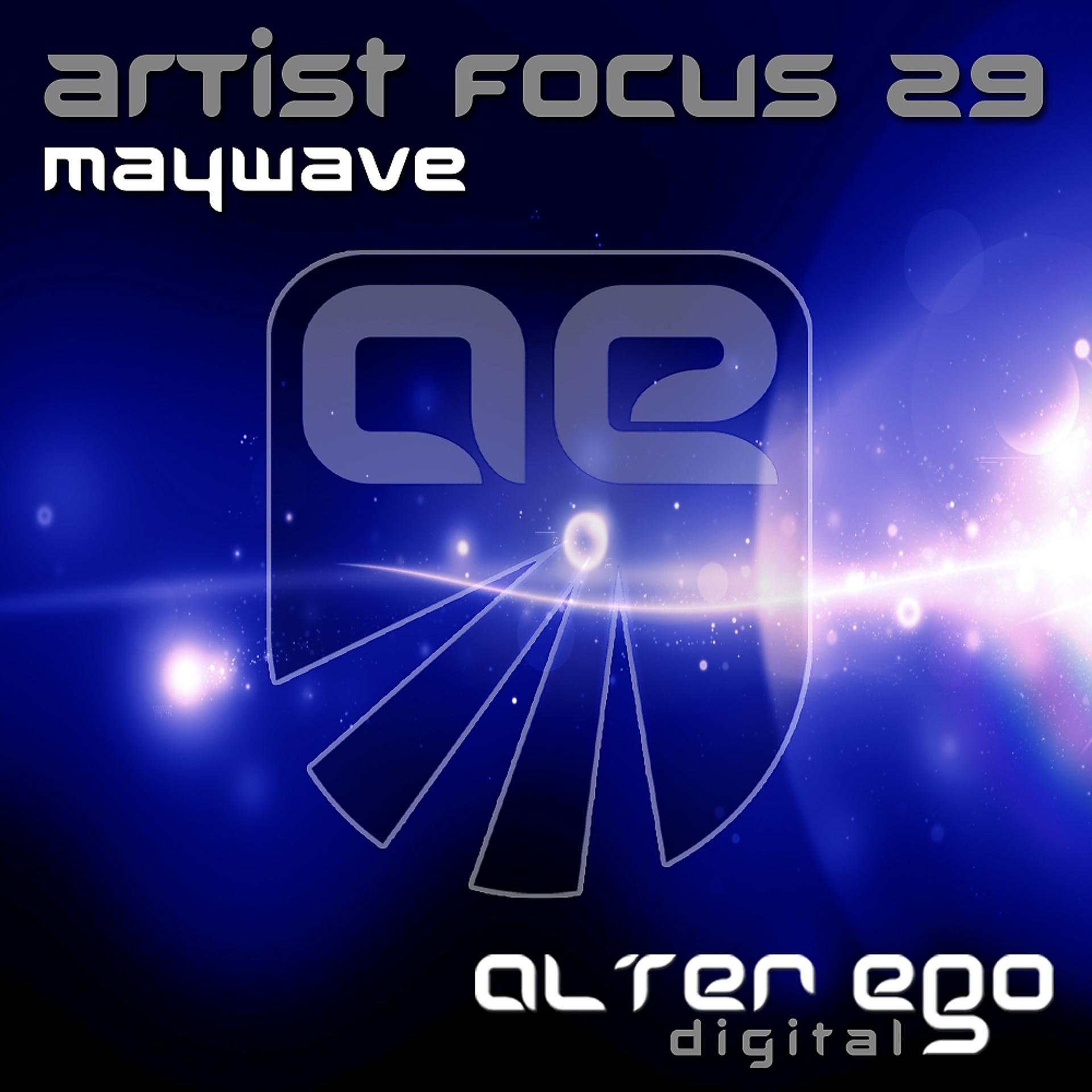 Постер альбома Artist Focus 29