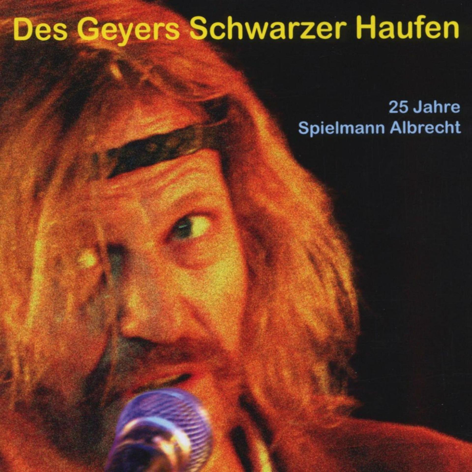 Постер альбома 25 jahre Spielmann Albrecht