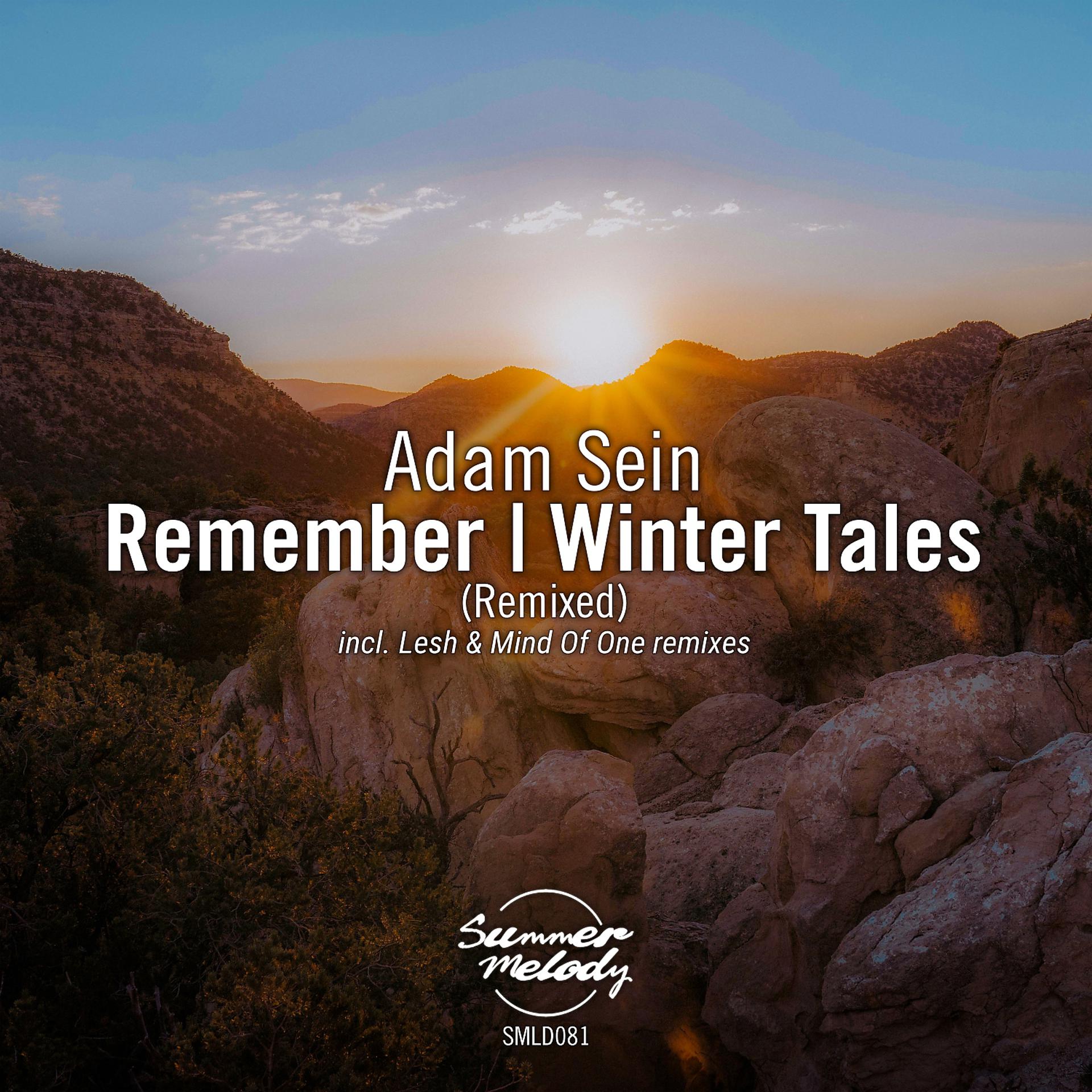 Постер альбома Remember / Winter Tales (Remixed)
