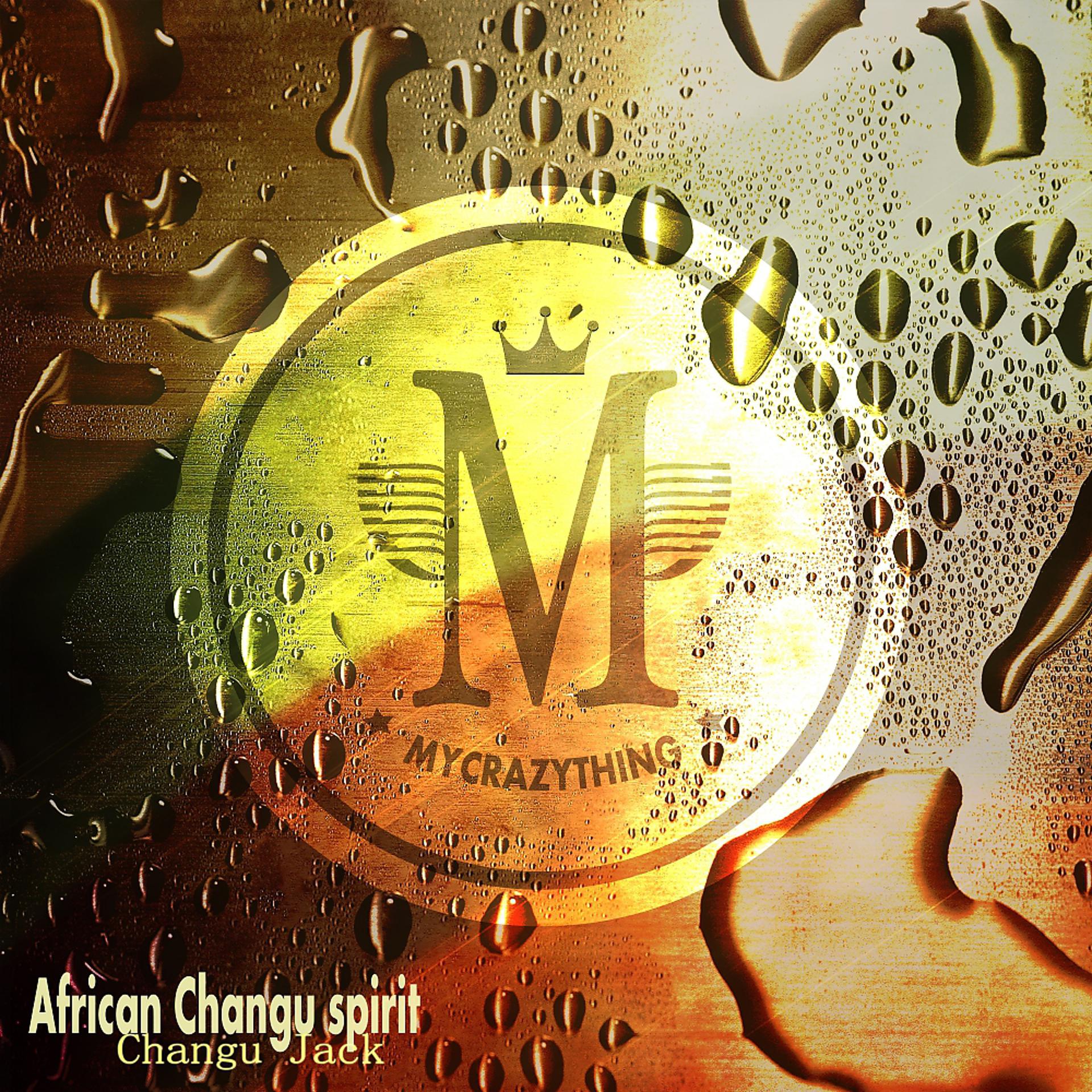 Постер альбома African Changu Spirit