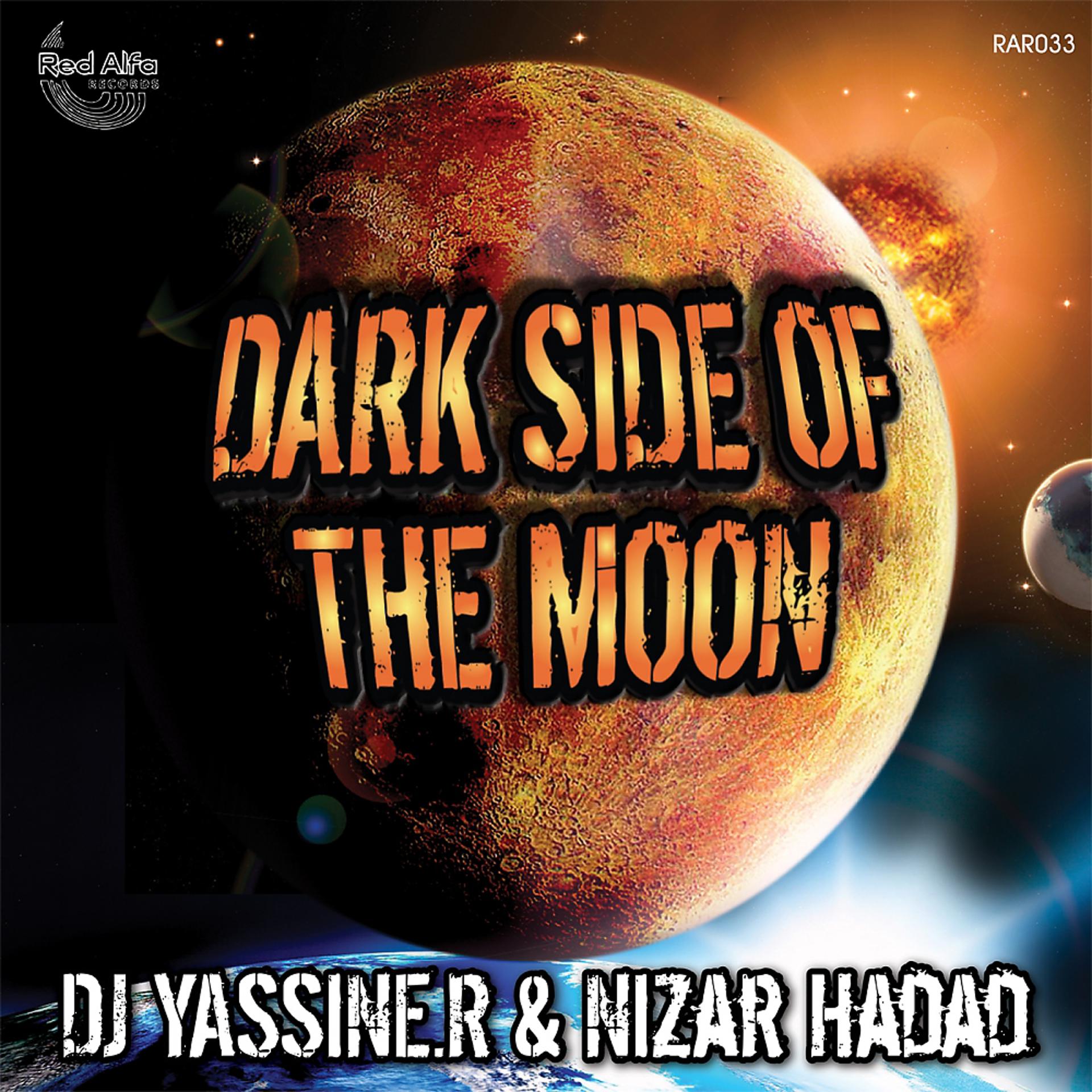Постер альбома Dark Side of The Moon