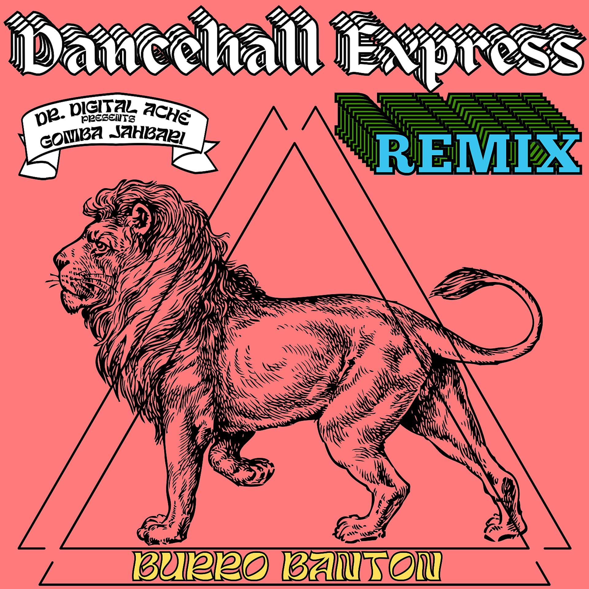 Постер альбома Dancehall Express (feat. Burro Banton) [Remix]