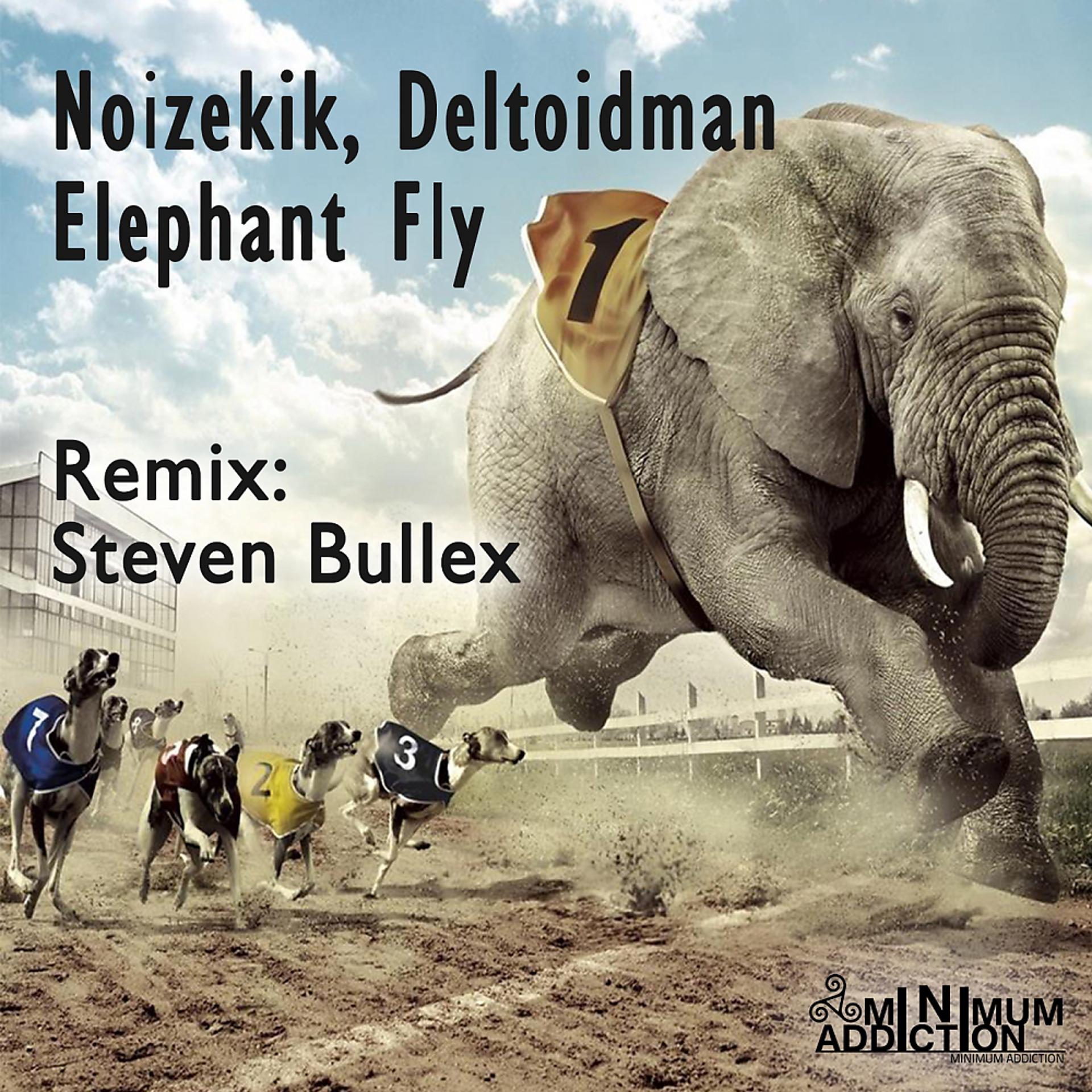 Постер альбома Elephant Fly