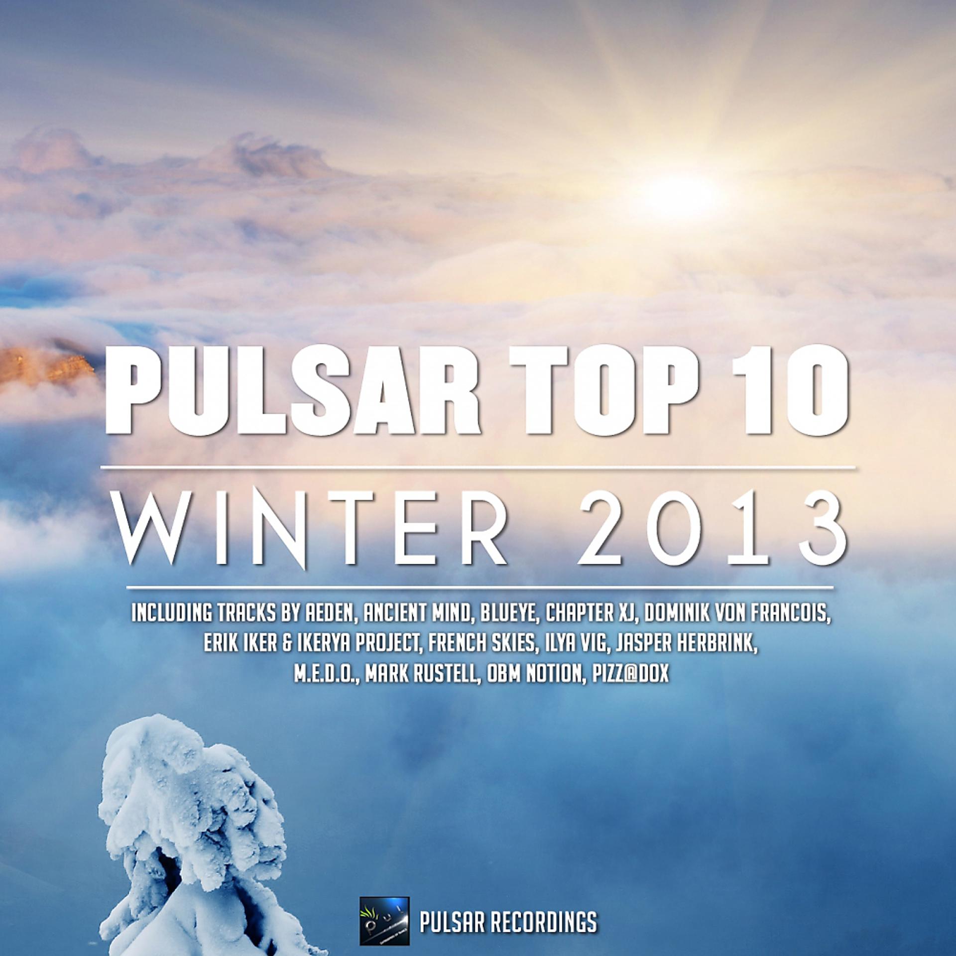 Постер альбома Pulsar Top 10 - Winter 2013