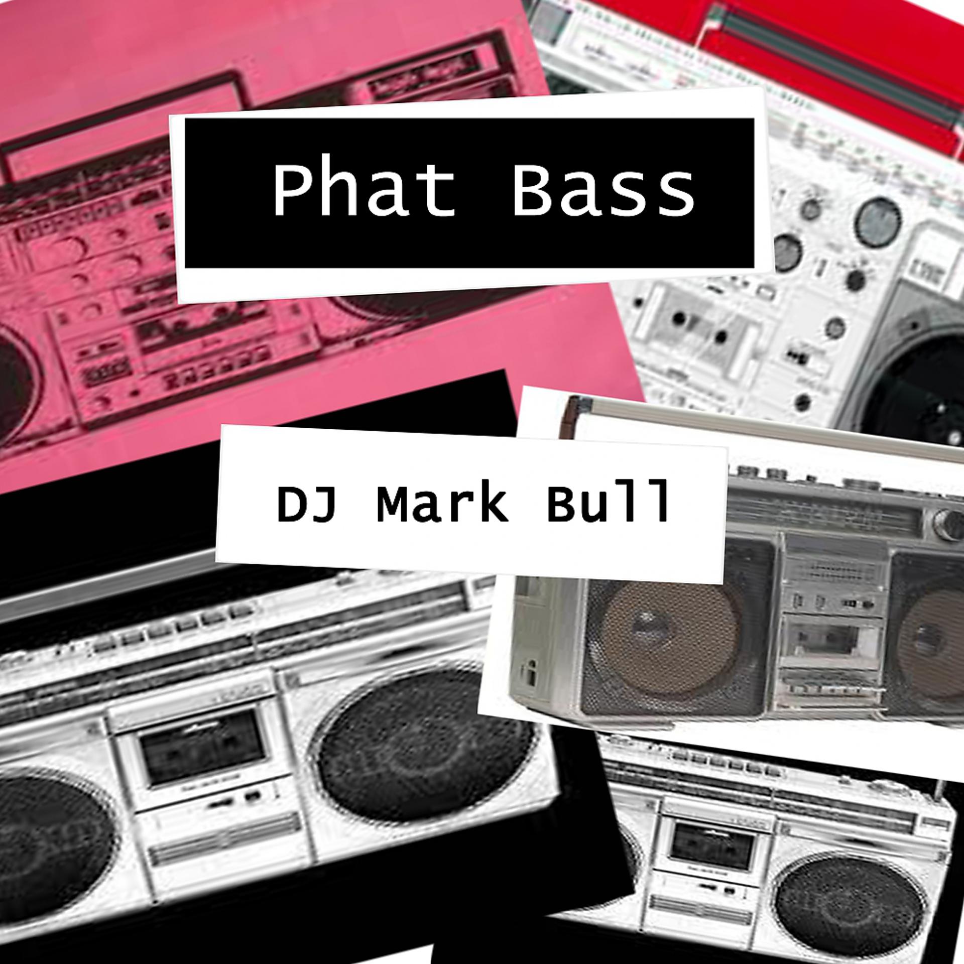 Постер альбома Phat Bass
