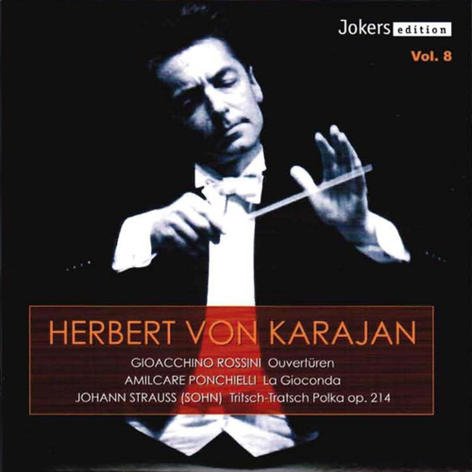Постер альбома Herbert von Karajan, Vol. 8