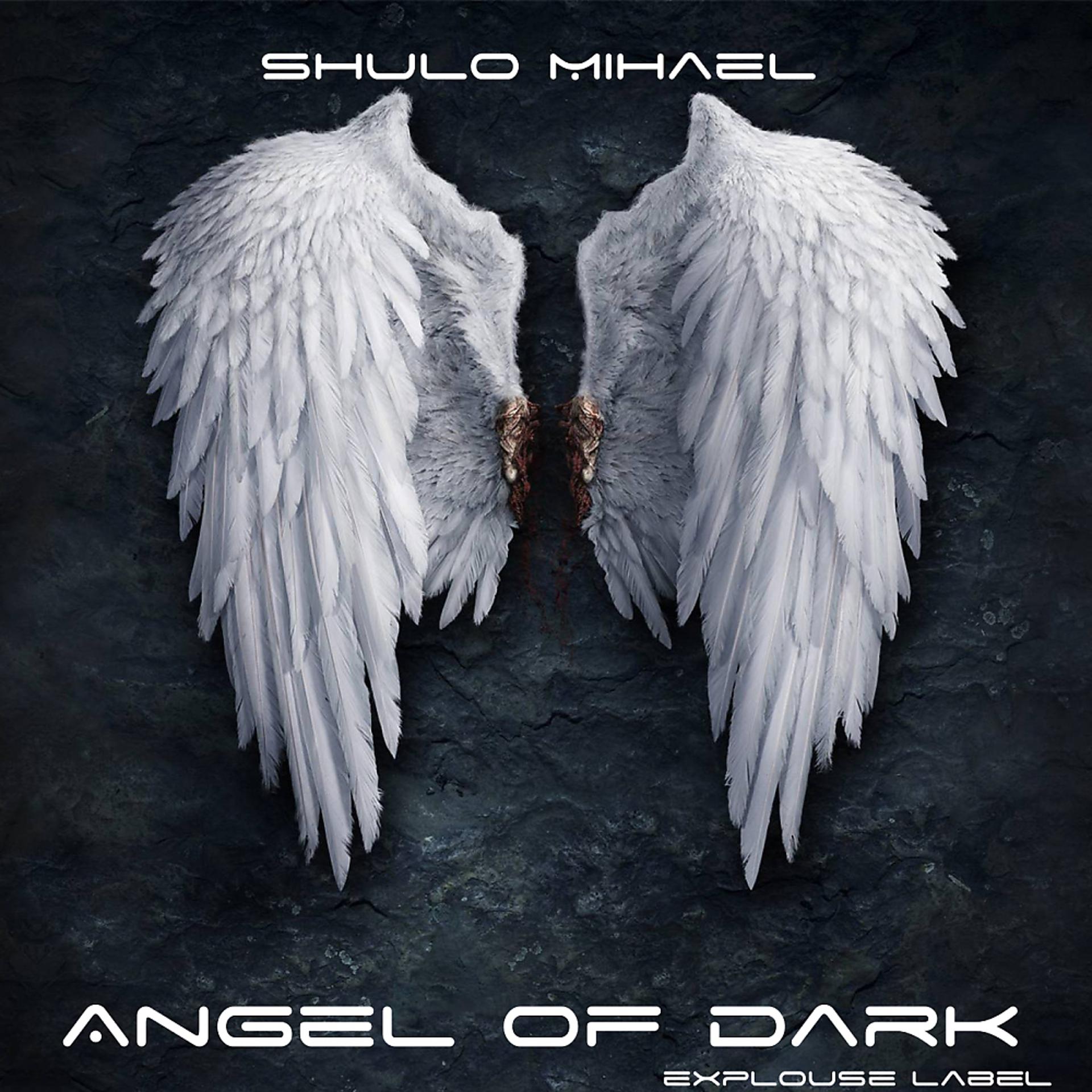 Постер альбома Angel of Dark