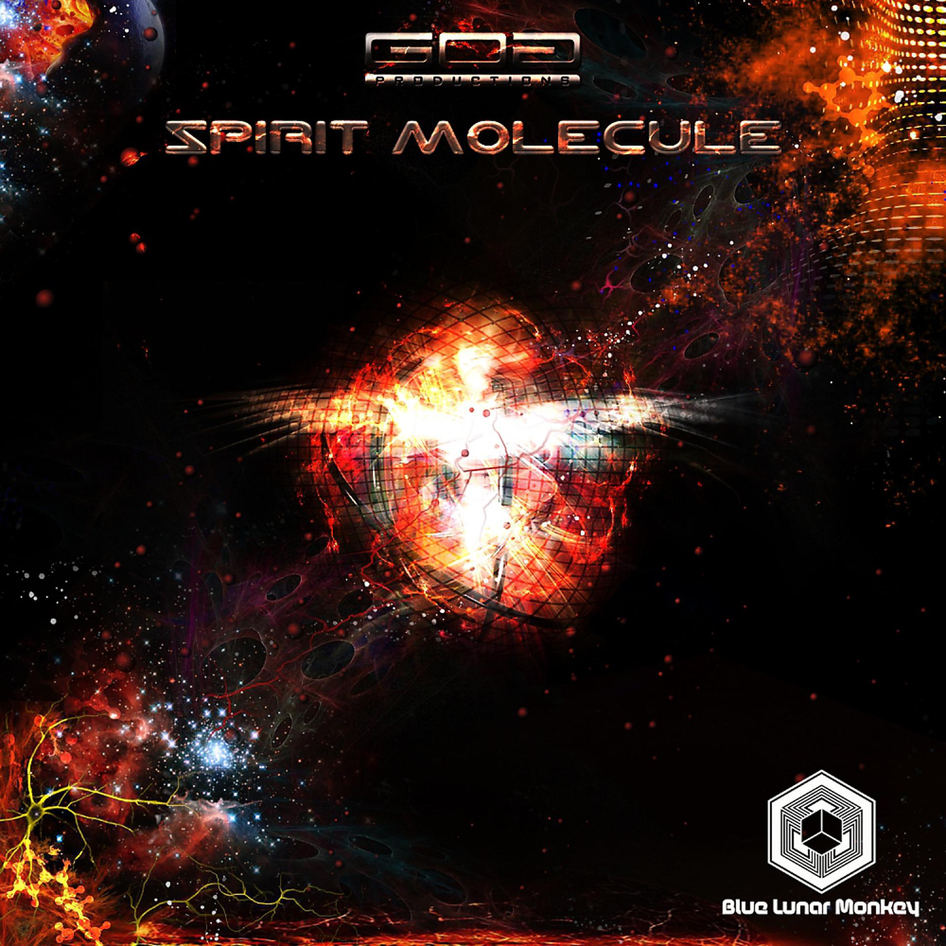 Постер альбома Spirit Molecule