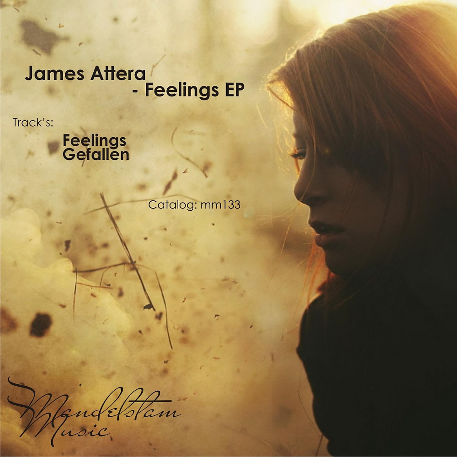 Постер альбома Feelings EP