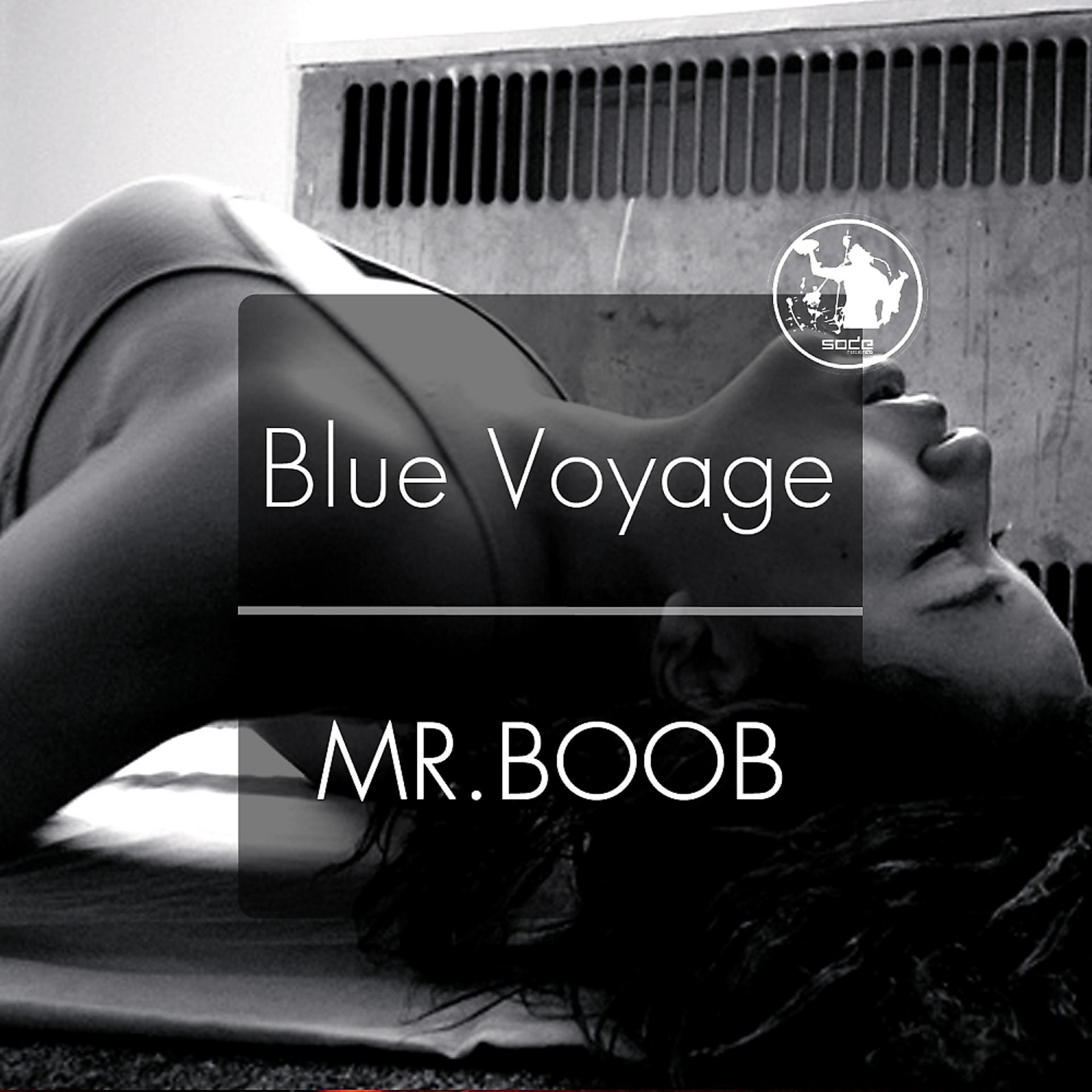 Постер альбома Mr.Boob