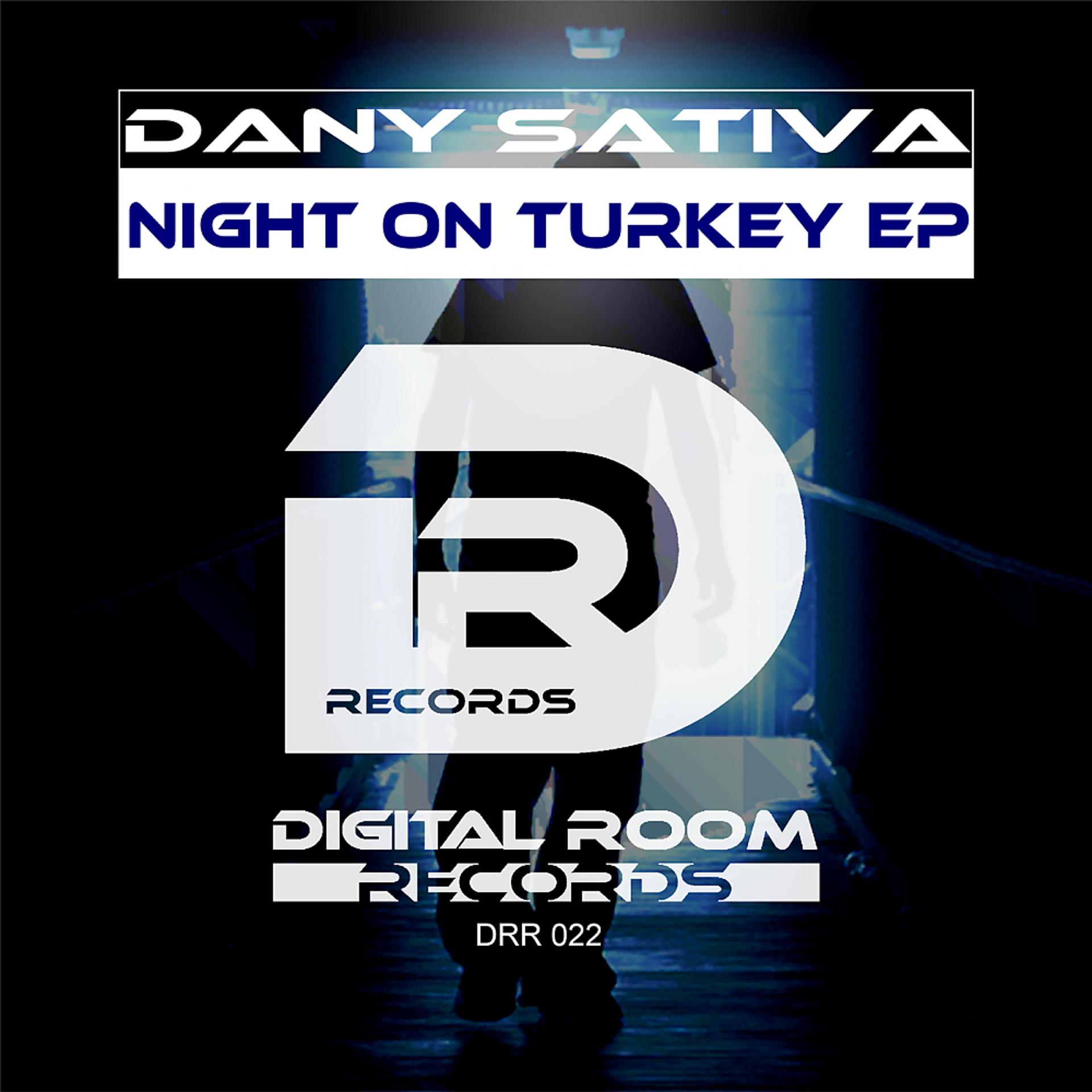 Постер альбома Night On Turkey