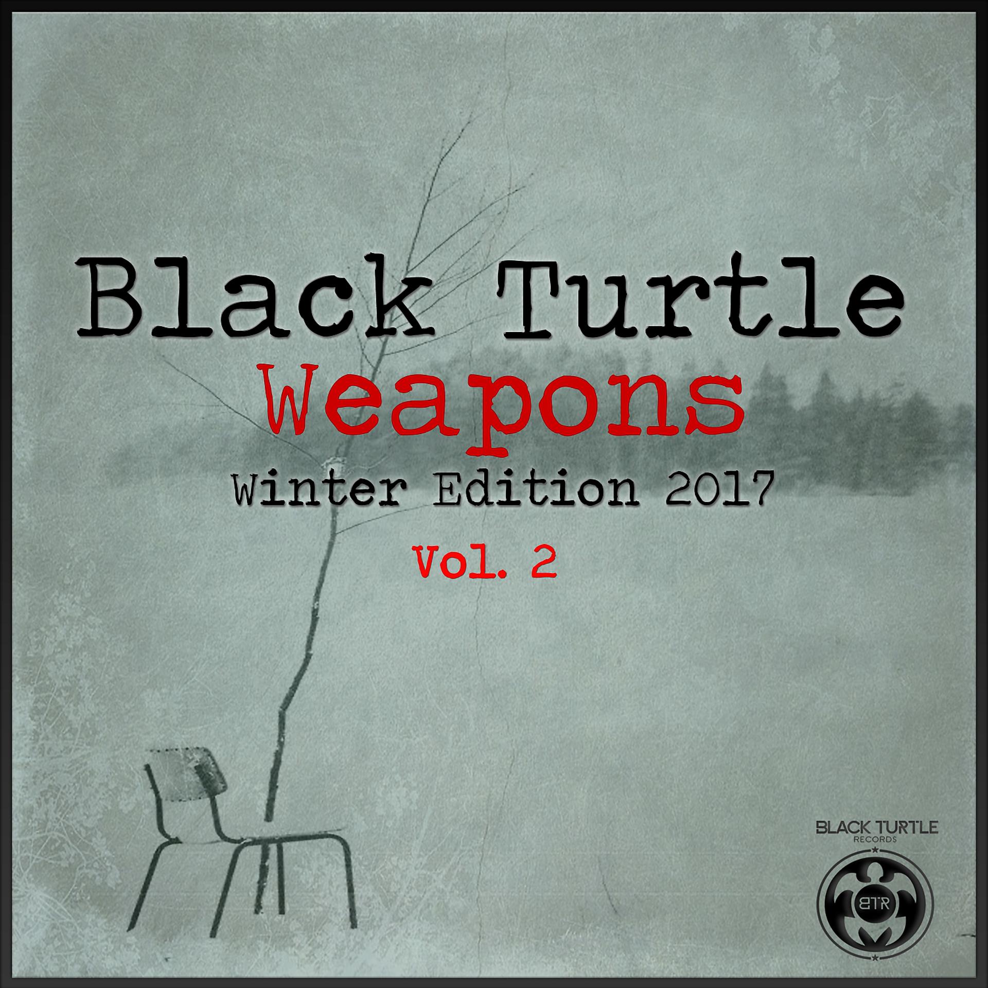 Постер альбома Black Turtle Weapons Winter Edition 2017 Vol.2
