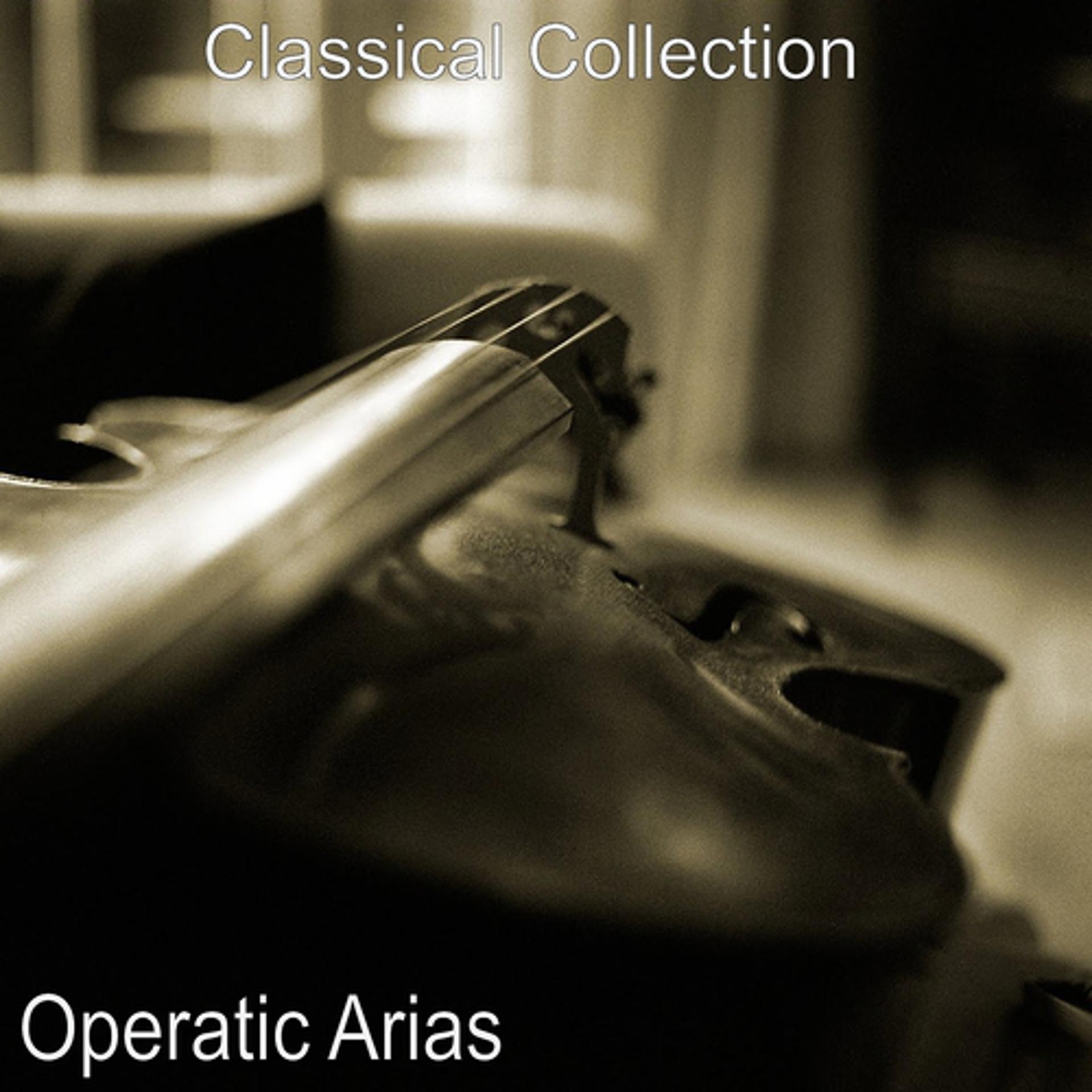 Постер альбома Operatic Arias