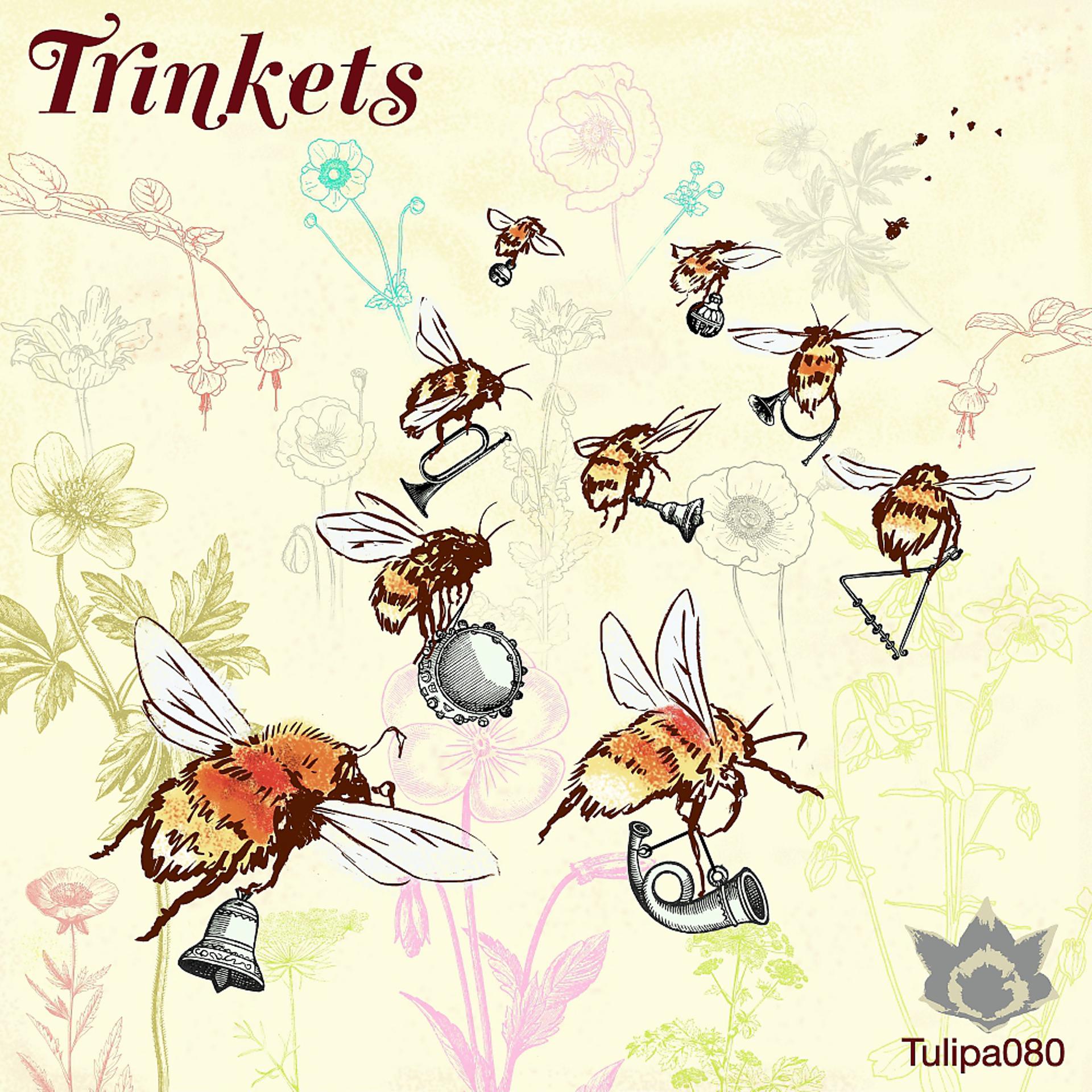 Постер альбома Trinkets