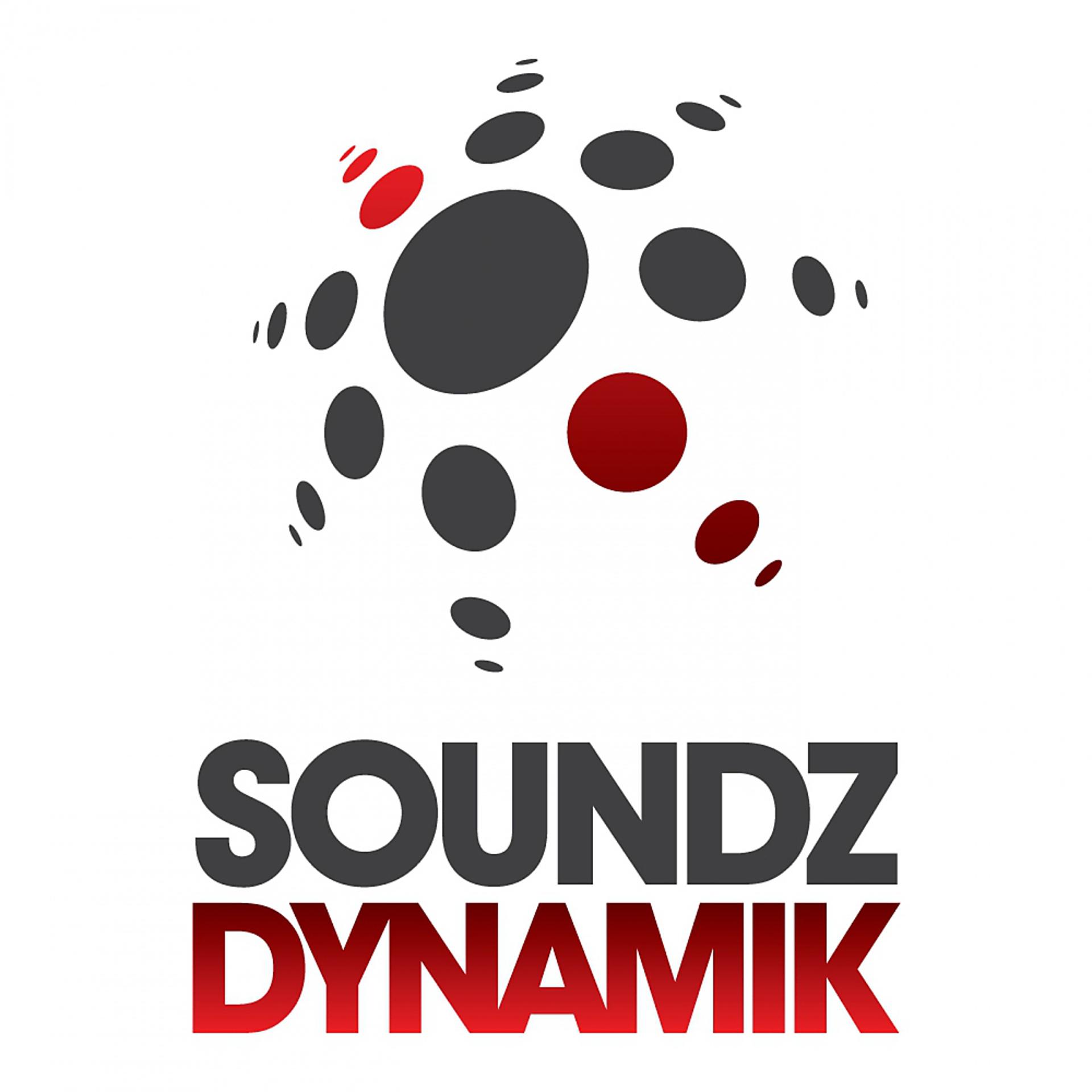 Постер альбома Soundz Dynamik presents Soulful House Vol 1