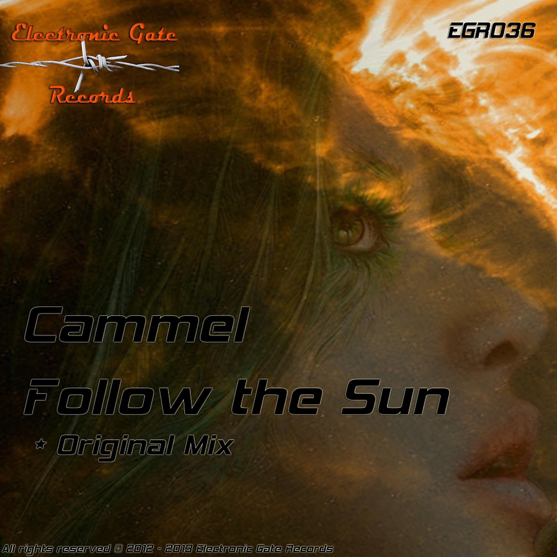 Постер альбома Follow The Sun