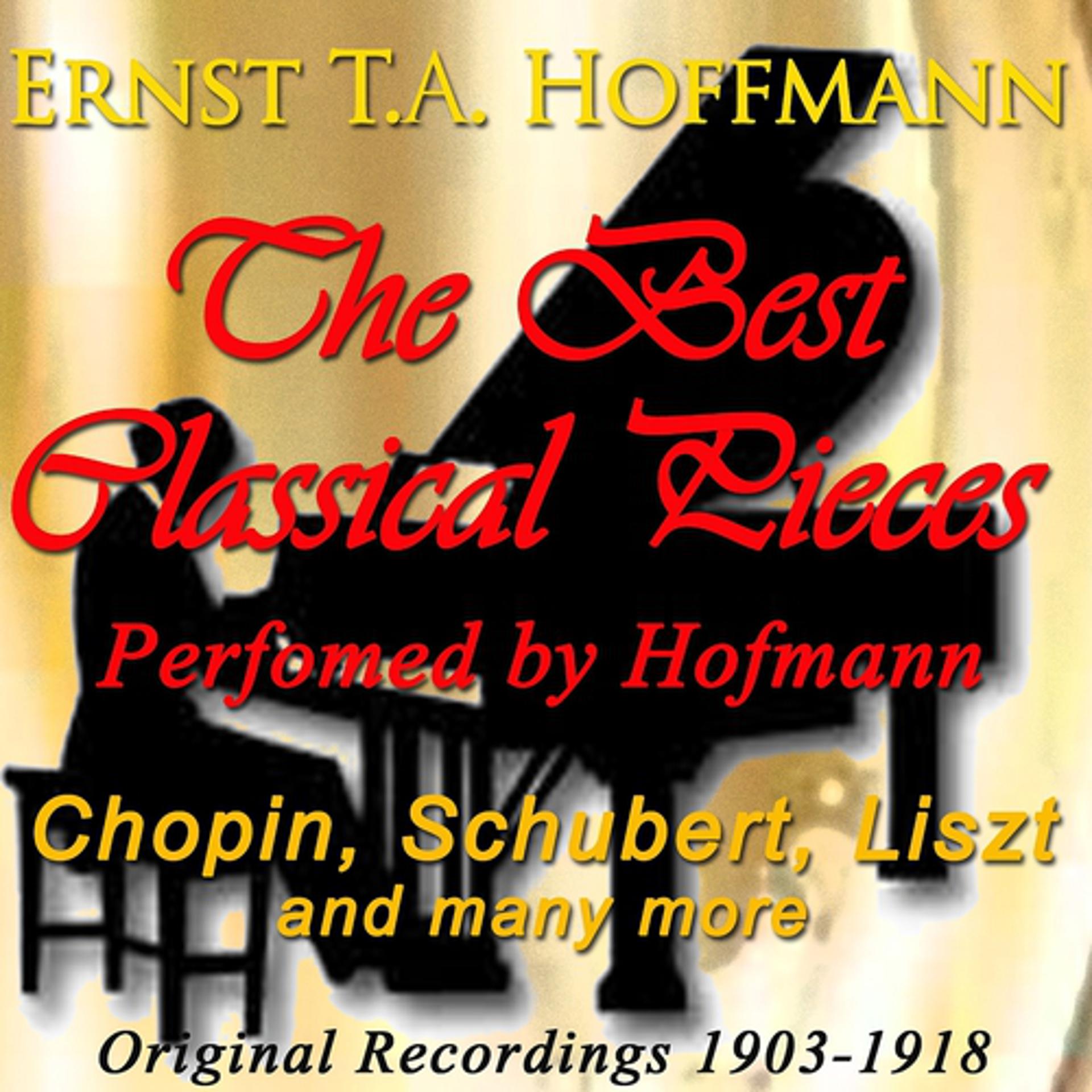 Постер альбома The Best Classical Pieces Performed By Hofmann: Chopin, Schubert, Liszt and Many More