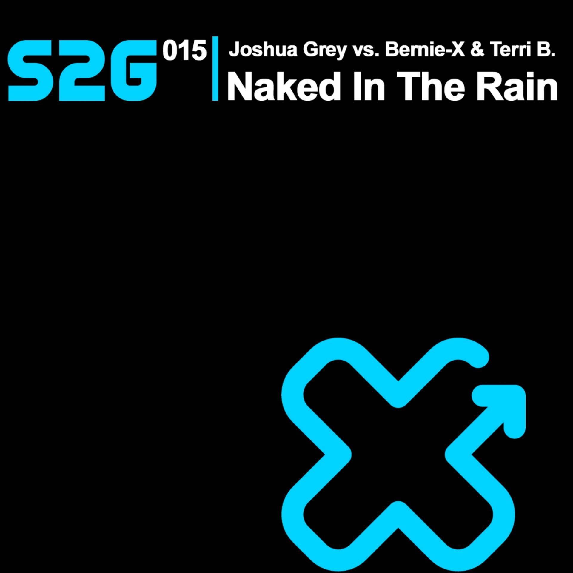 Постер альбома Naked in the Rain 2009