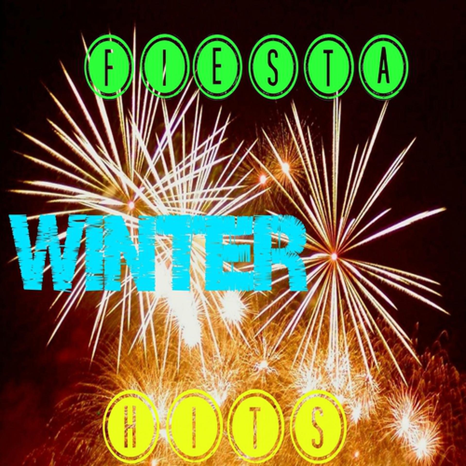Постер альбома Fiesta Winter Hits
