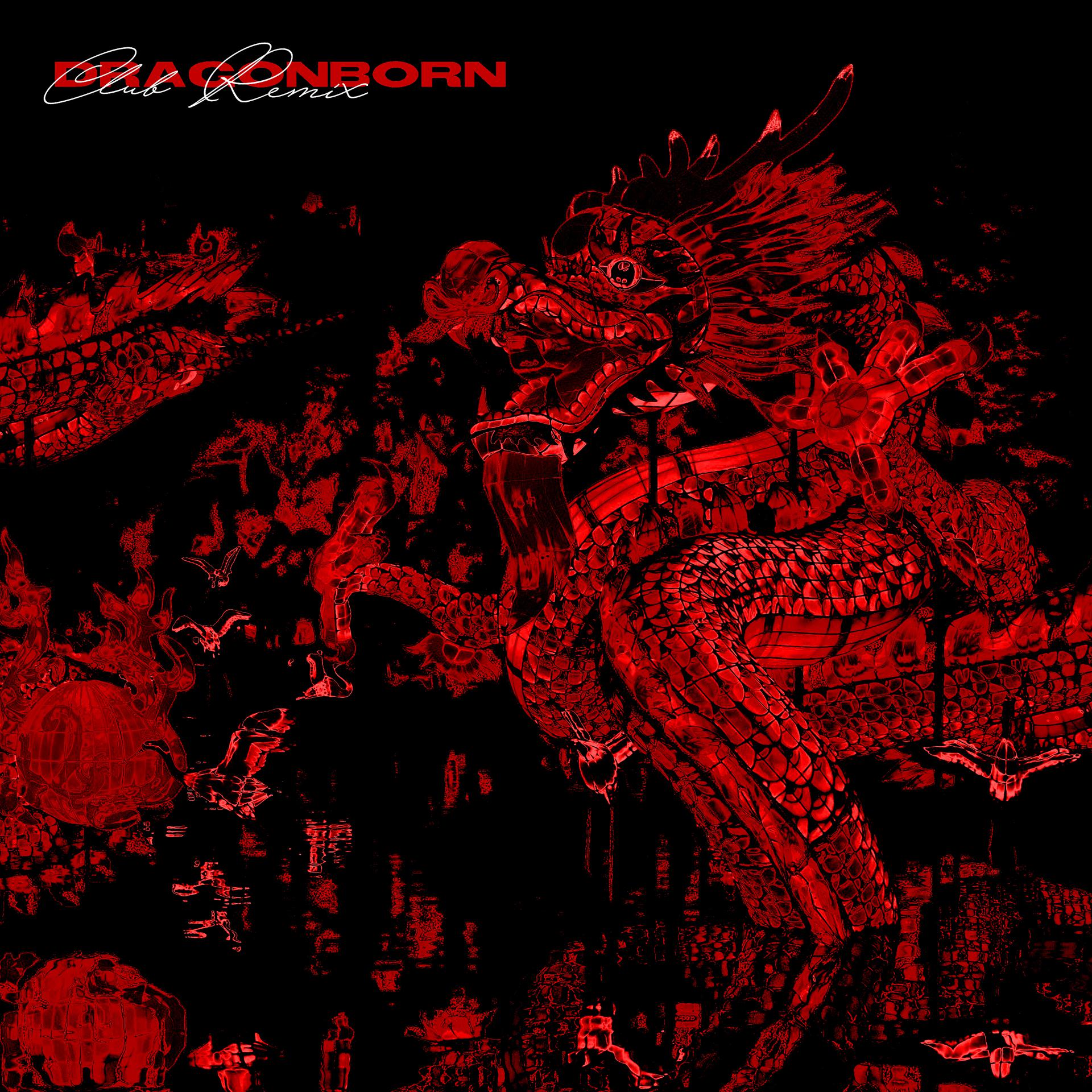 Постер альбома Dragonborn (feat. Healer) [Club Remix]