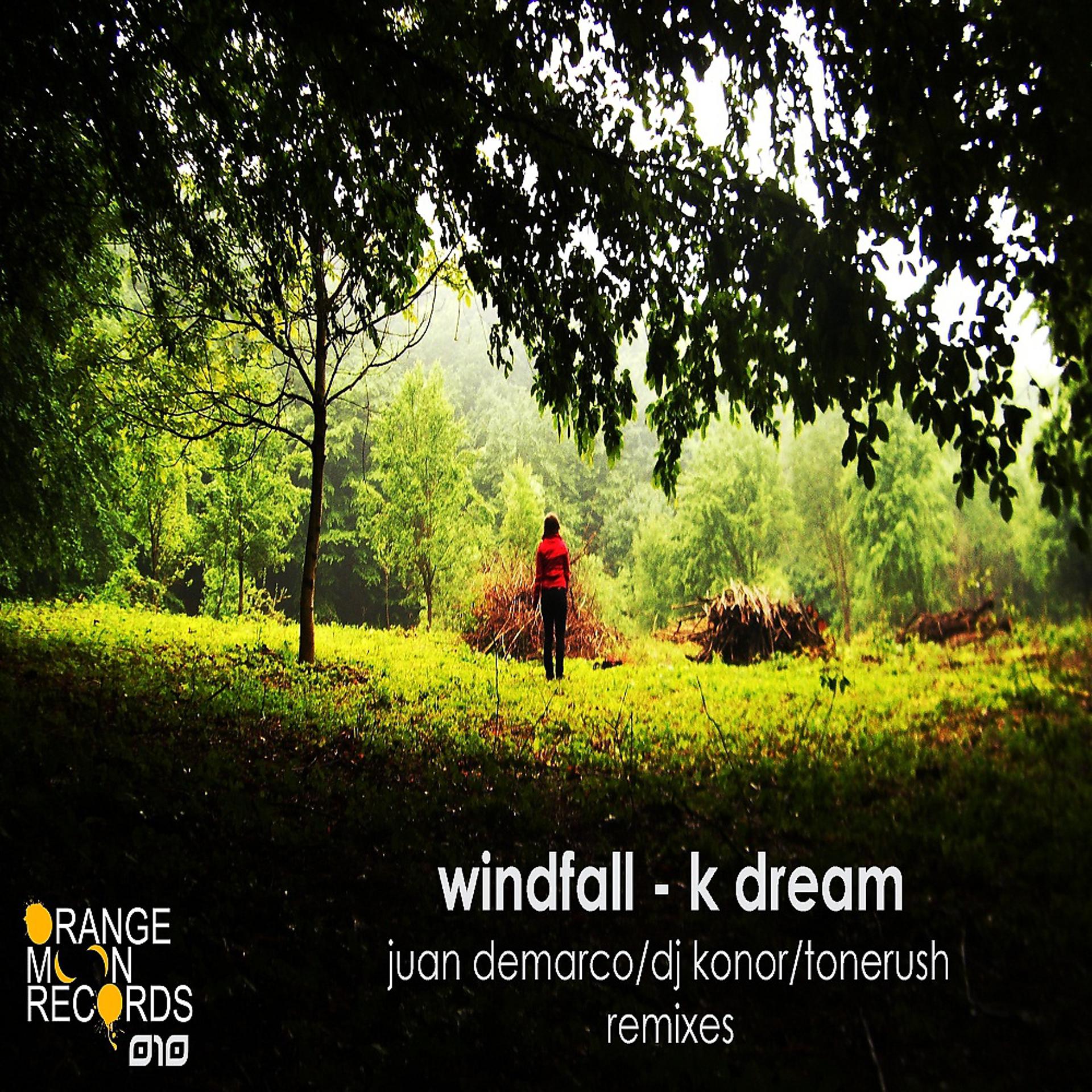 Постер альбома K Dream