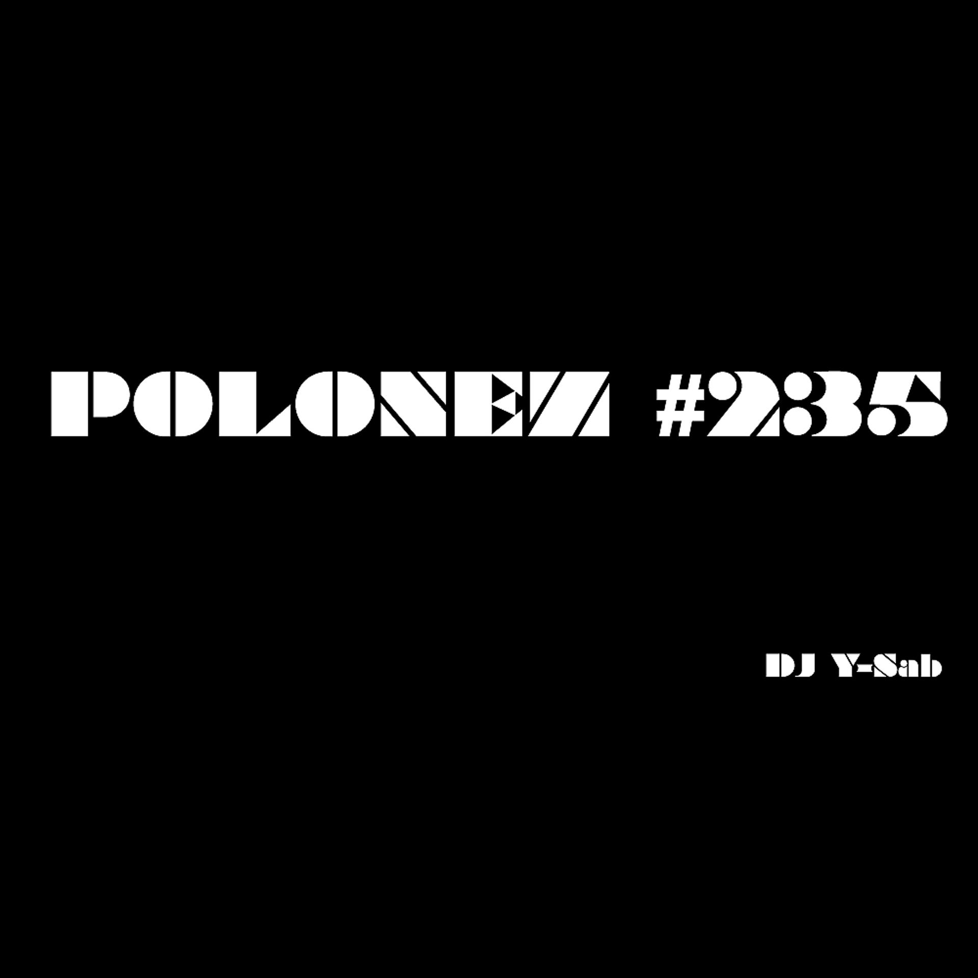 Постер альбома Polonez #235