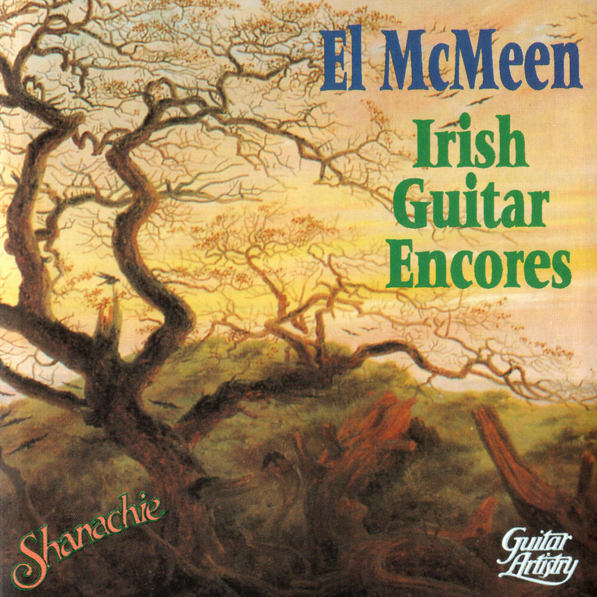 Постер альбома Irish Guitar Encores