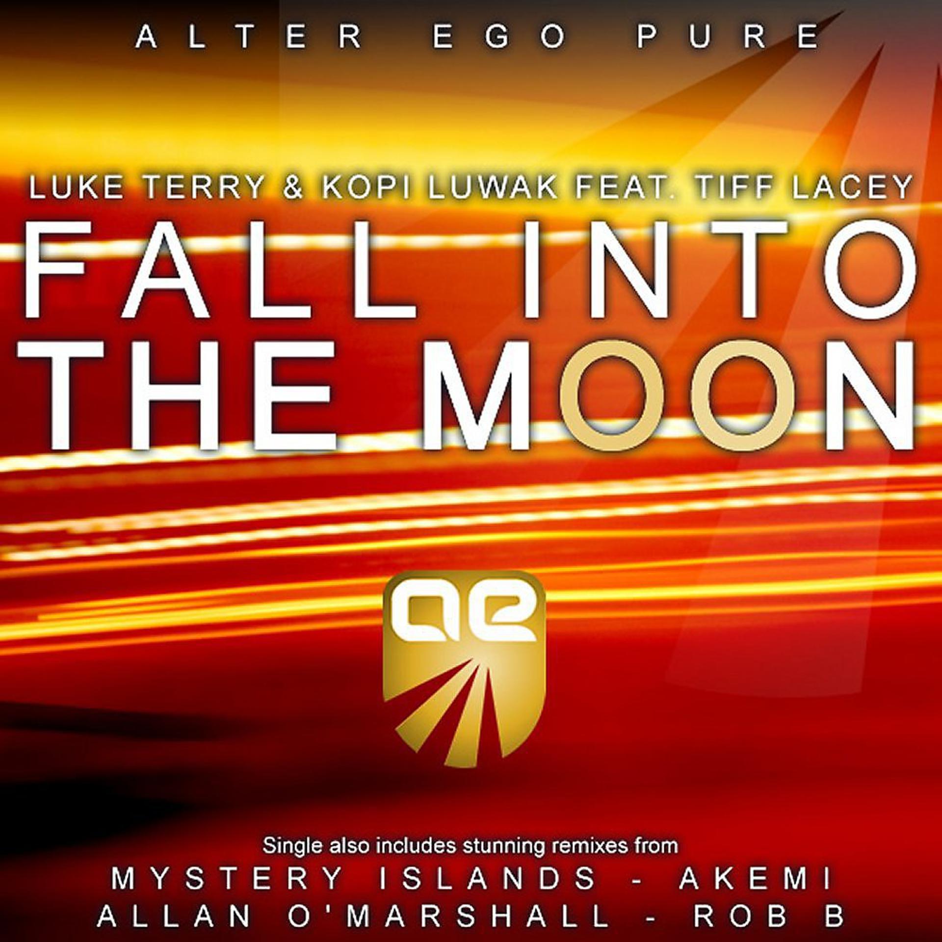 Постер альбома Fall Into The Moon