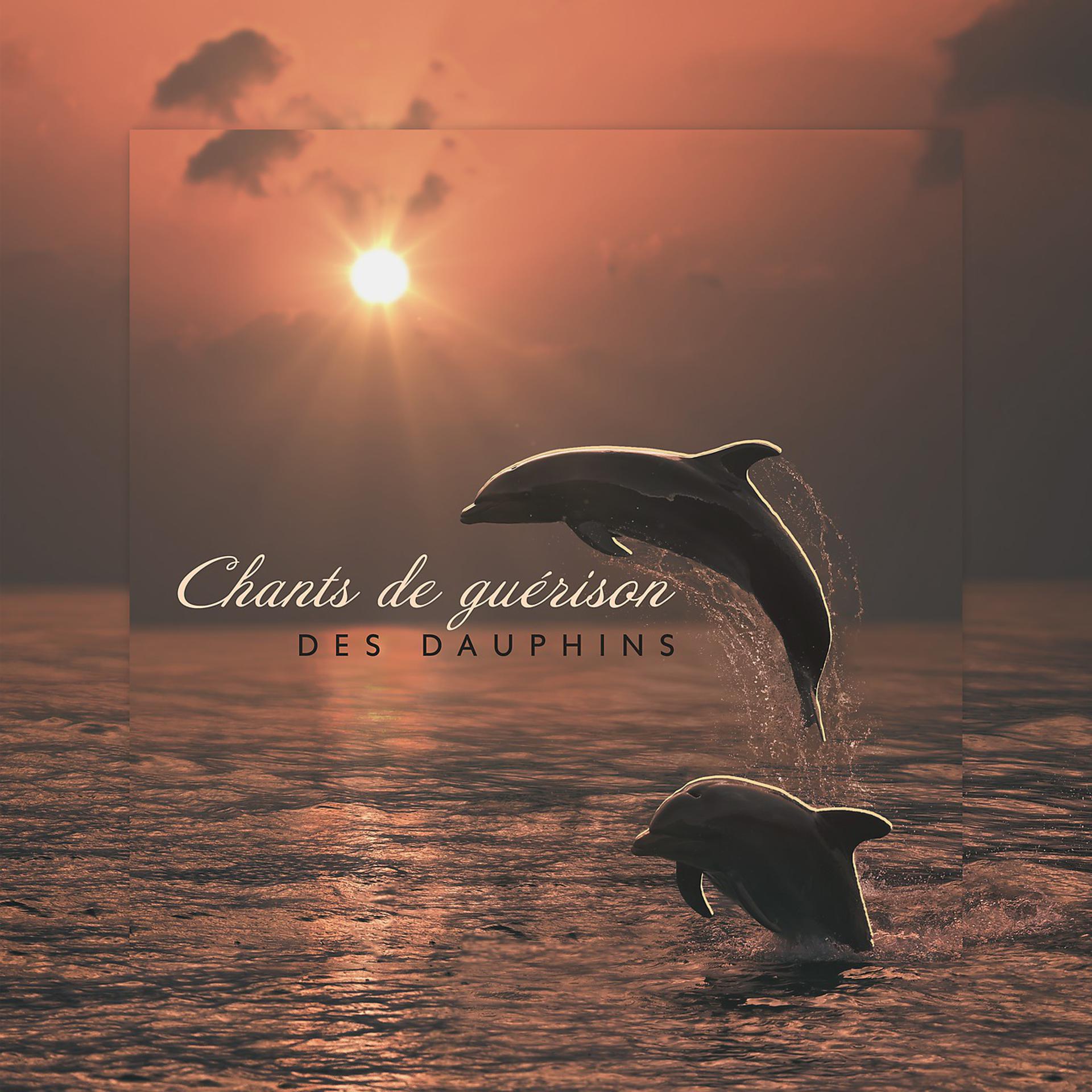Постер альбома Chants de guérison des dauphins