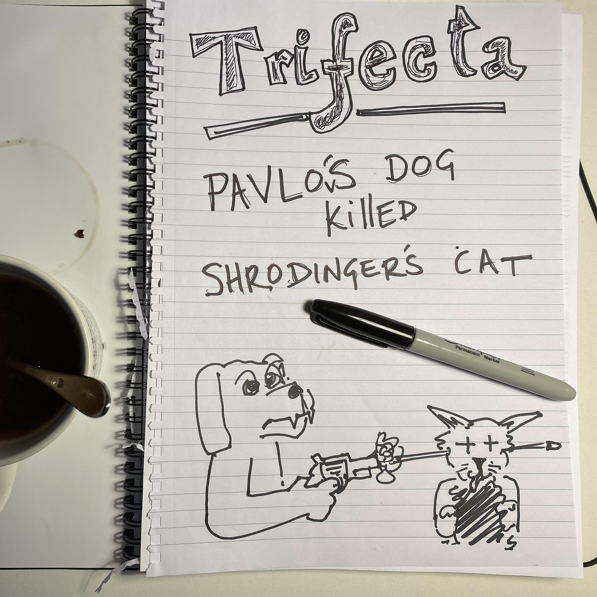 Постер альбома Pavlov's Dog Killed Schrodinger's Cat