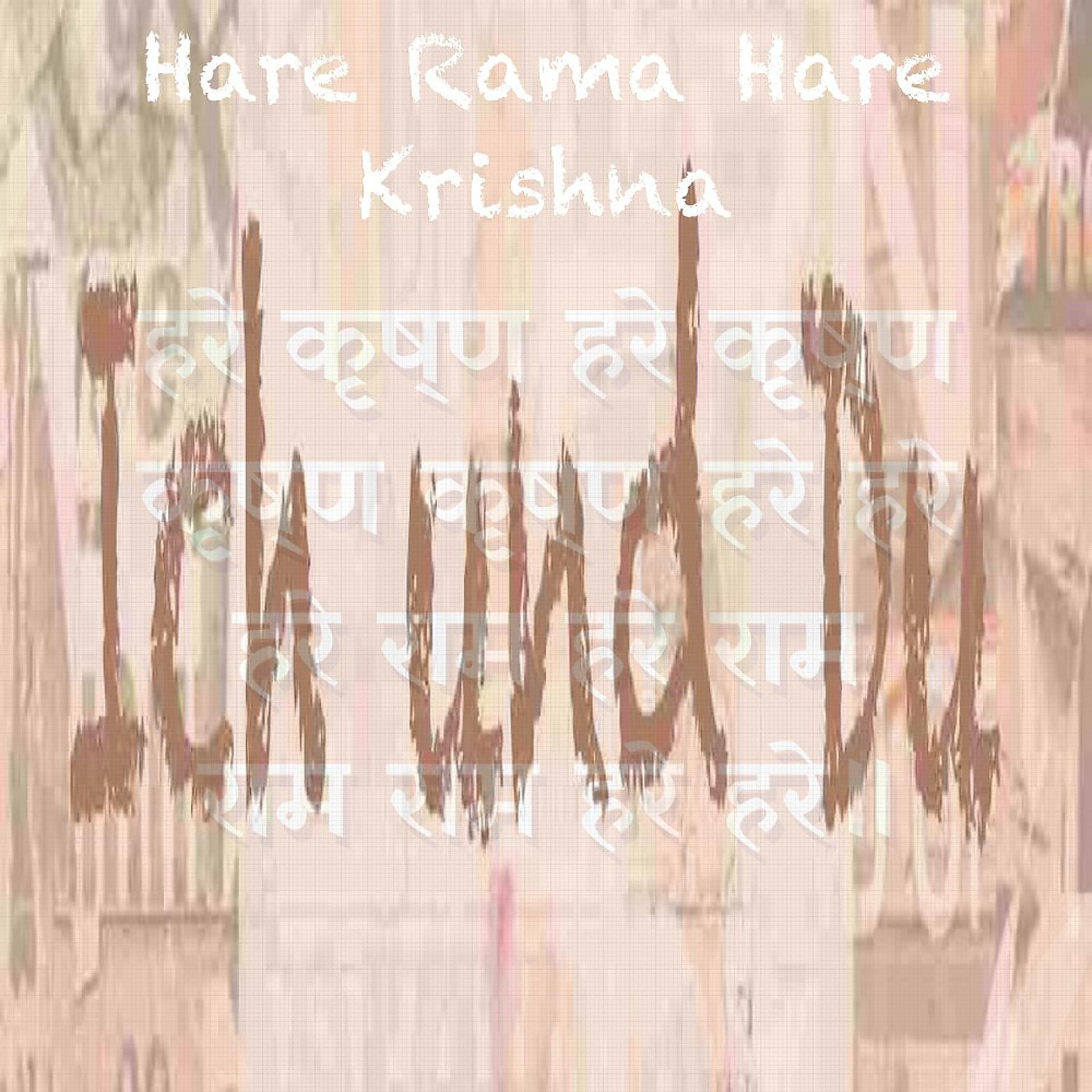 Постер альбома Hare Rama Hare Krishna
