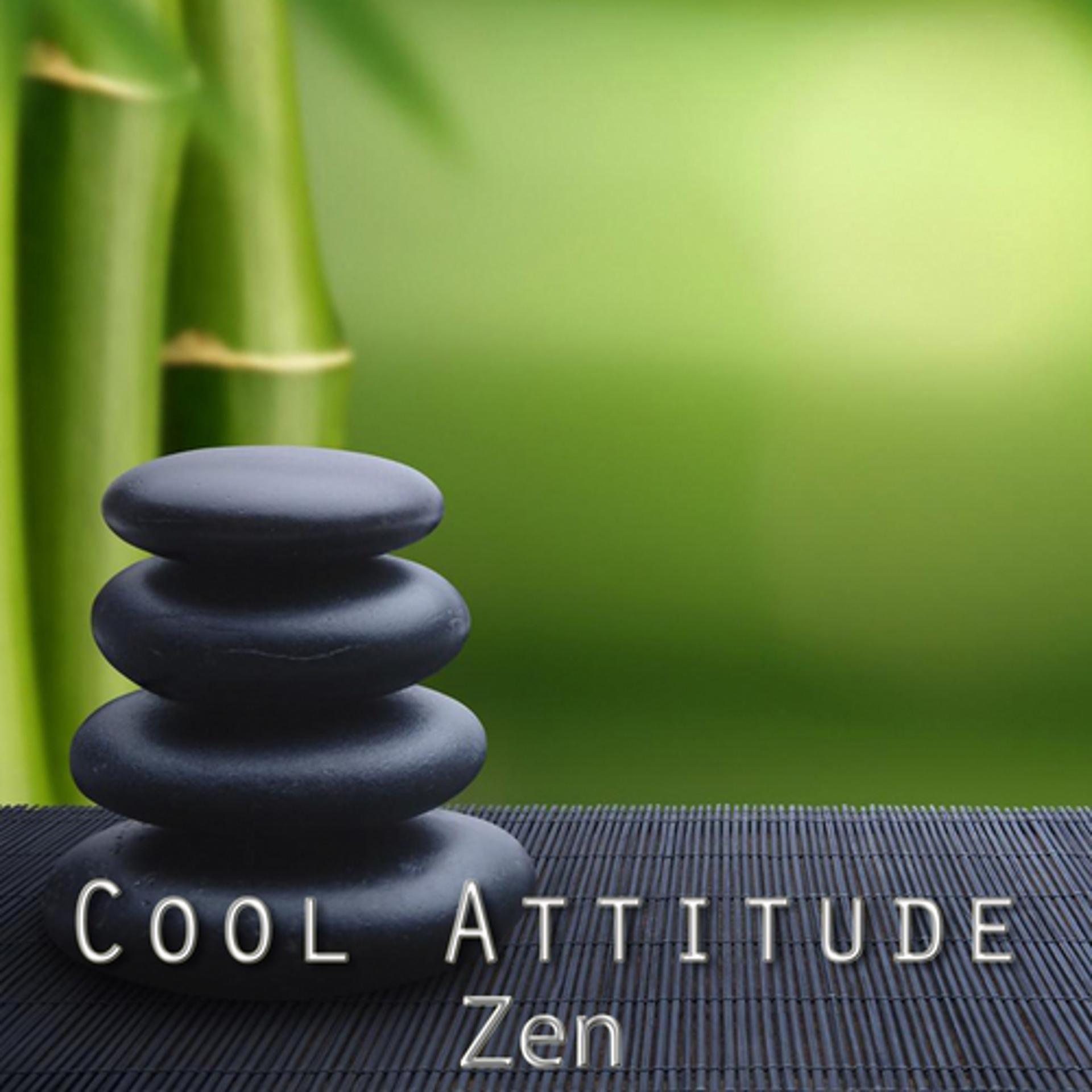 Постер альбома Cool Attitude: Zen