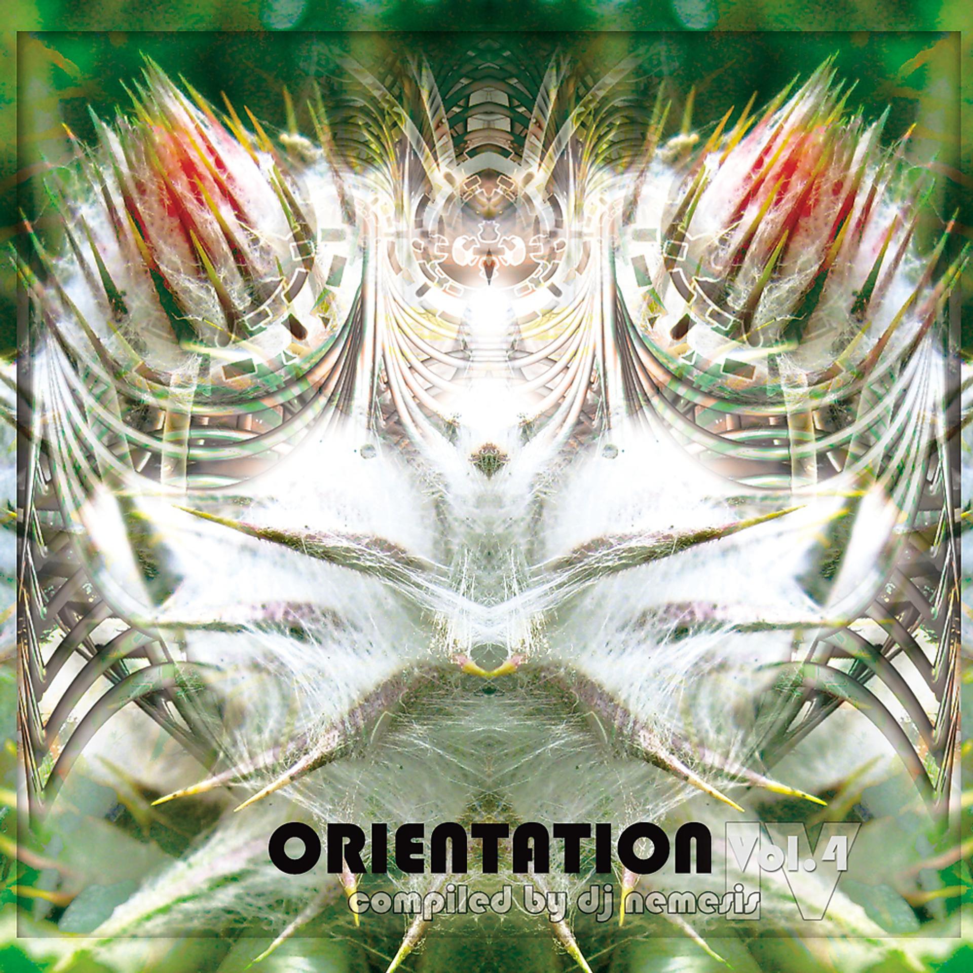 Постер альбома Orientation Vol.4