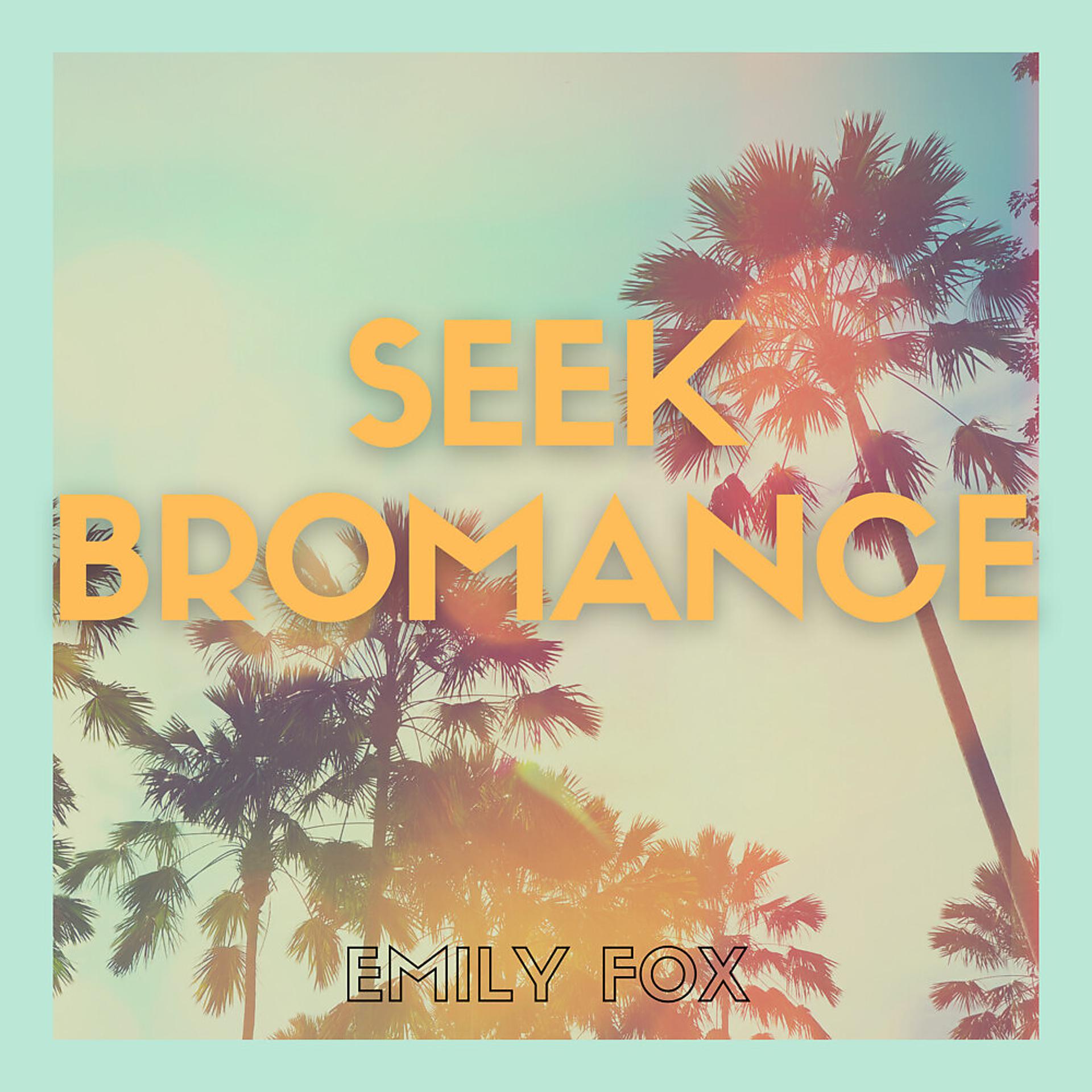 Постер альбома Seek Bromance