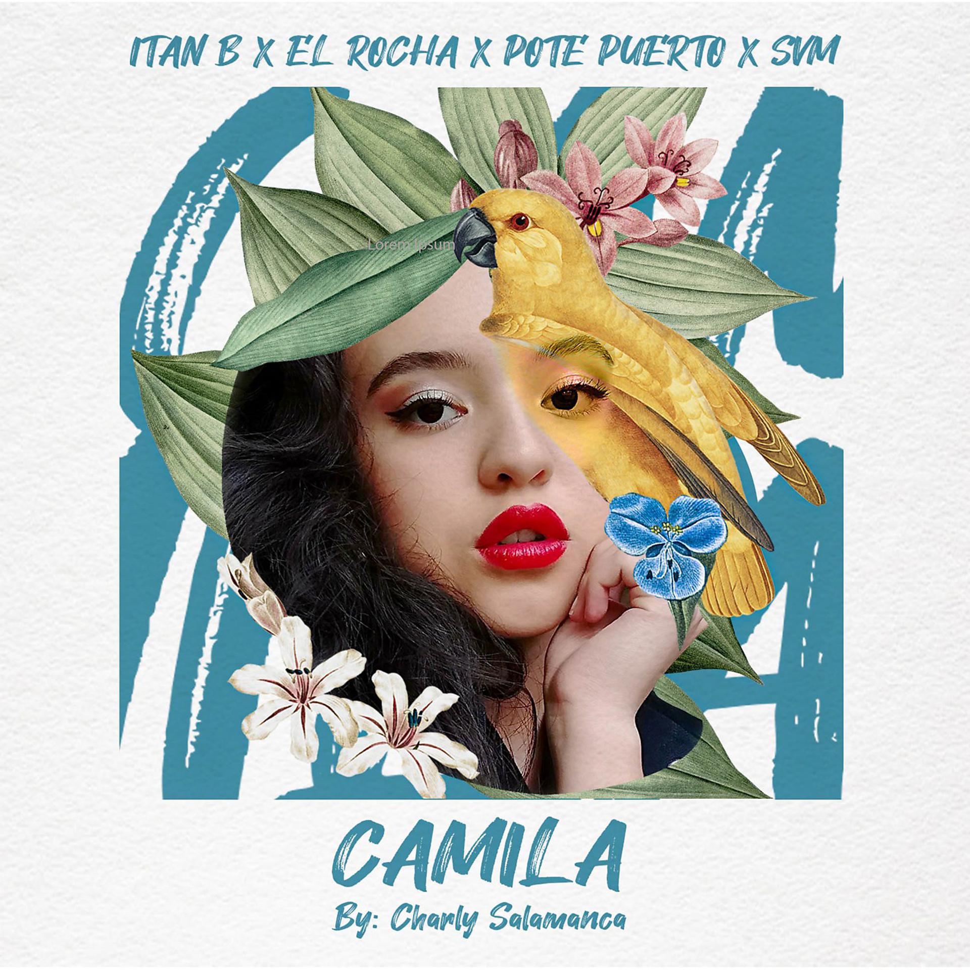Постер альбома Camila