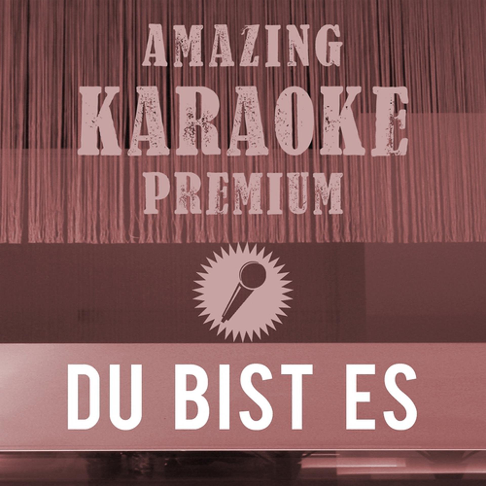 Постер альбома Du bist es (Single Version)