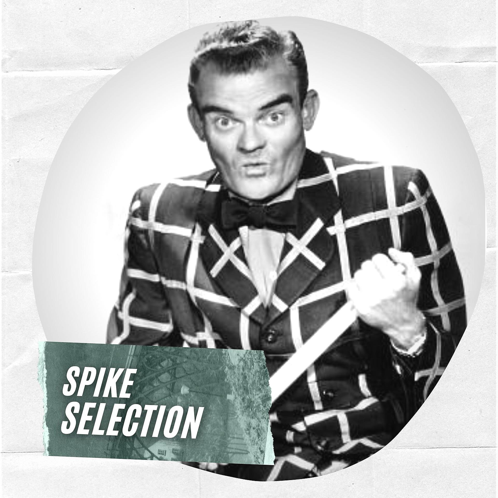 Постер альбома Spike Selection