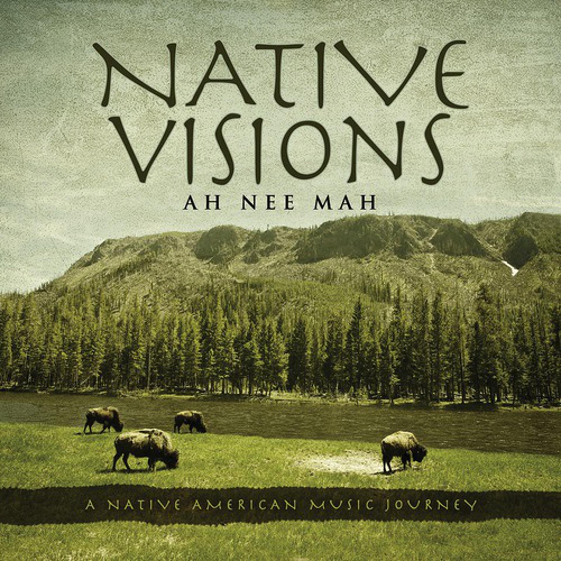 Постер альбома Native Visions: A Native American Music Journey