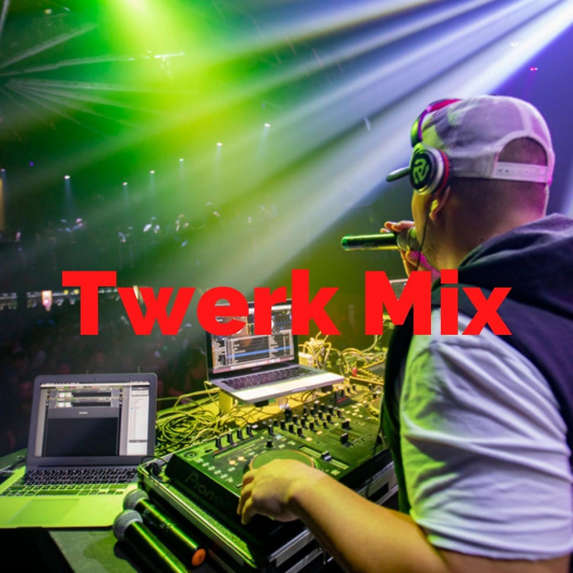 Постер альбома Twerk Mix