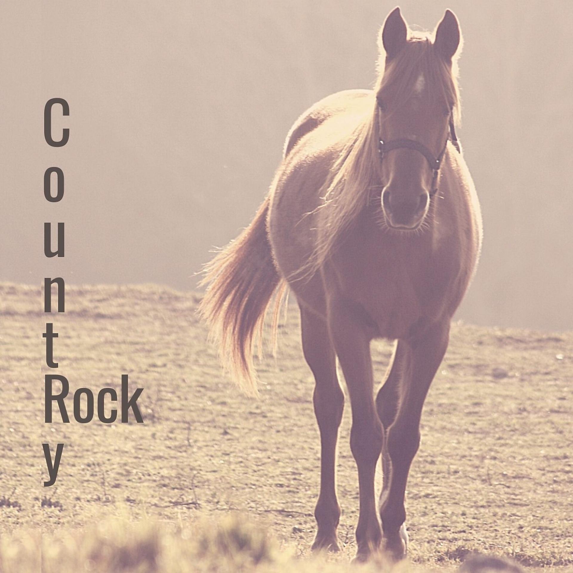 Постер альбома Rock Country