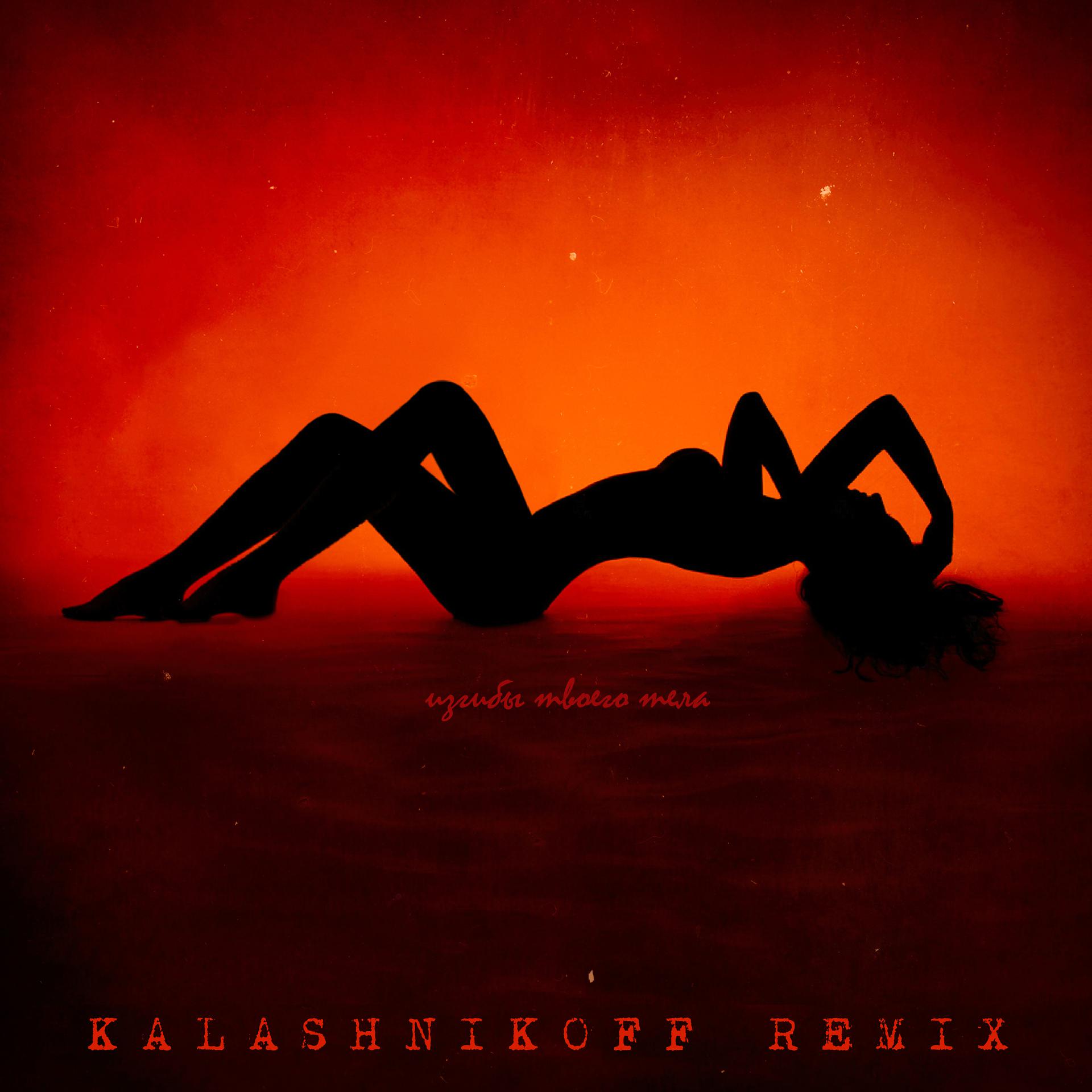 Постер альбома Изгибы твоего тела (KalashnikoFF Remix)