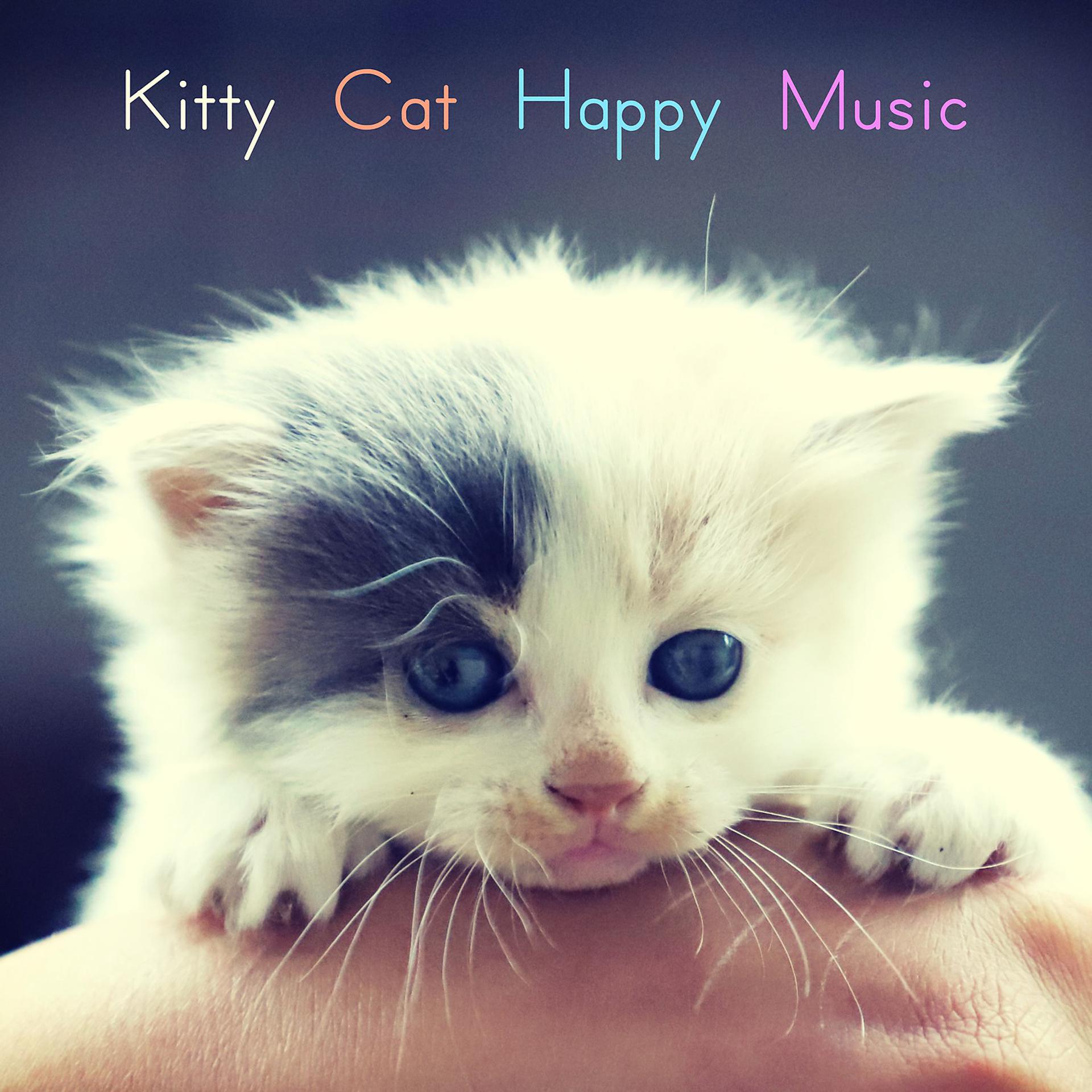 Постер альбома Kitty Cat Happy Music!