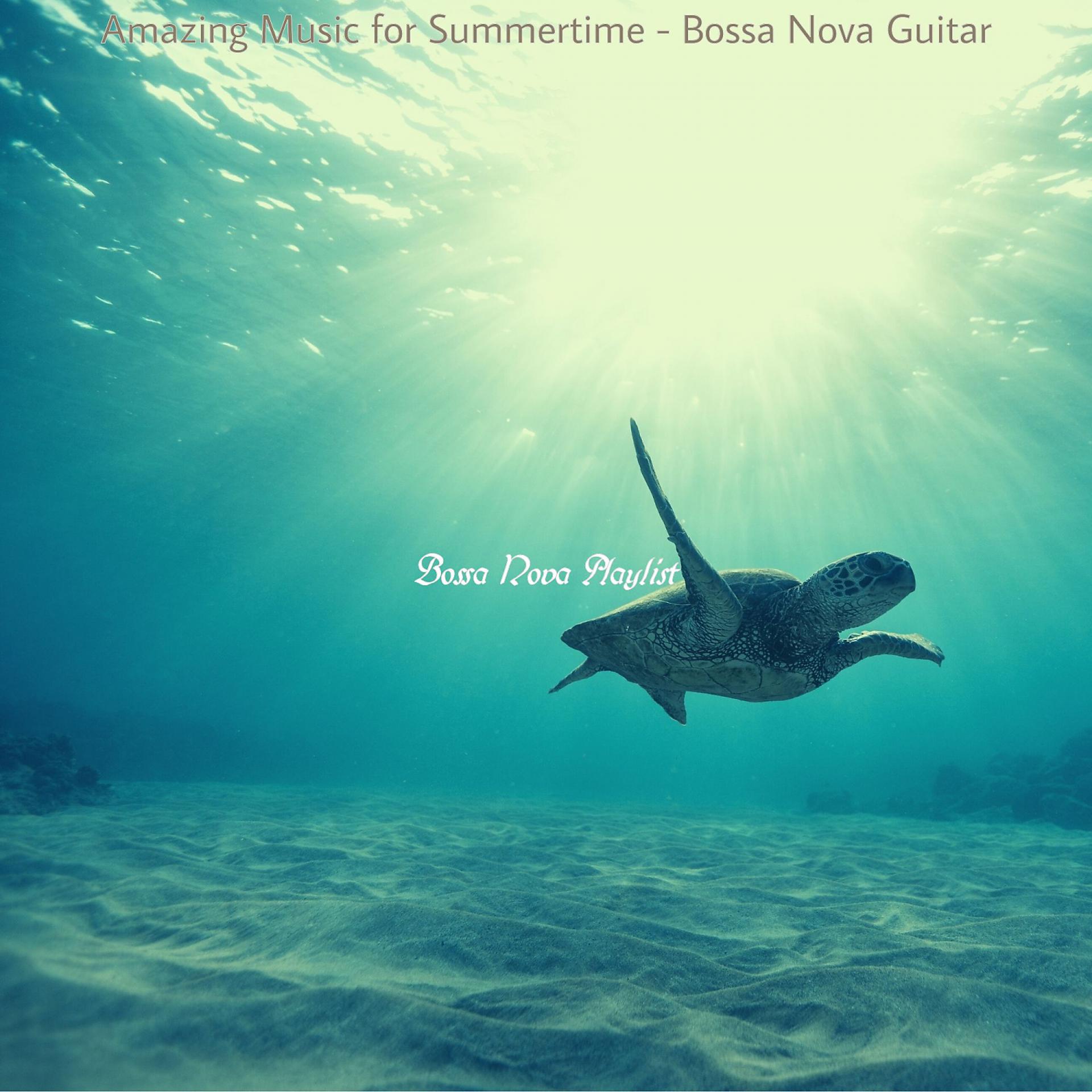Постер альбома Amazing Music for Summertime - Bossa Nova Guitar