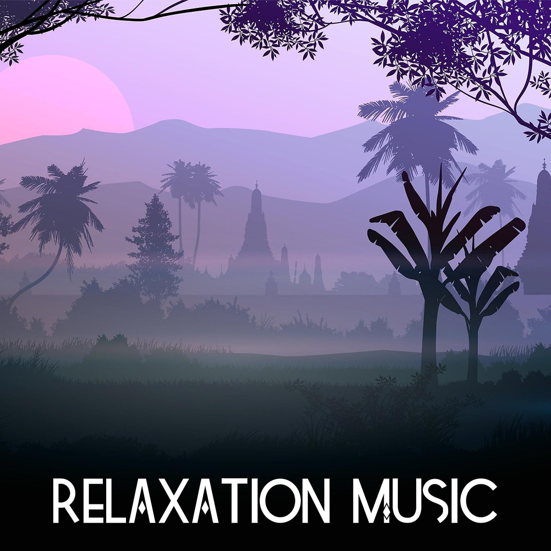 Постер альбома Relaxation Music
