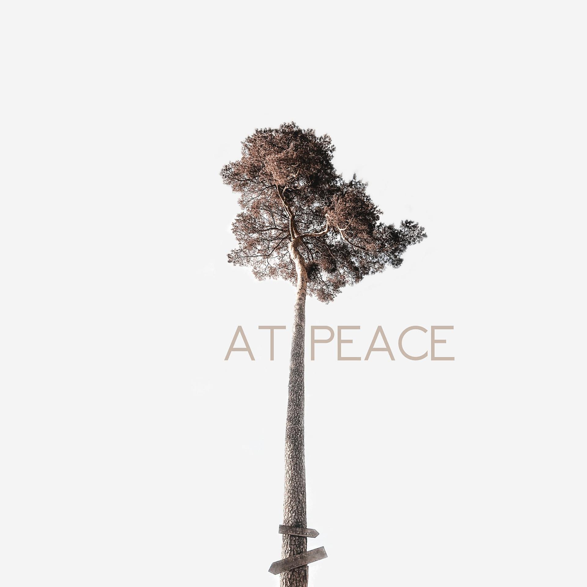 Постер альбома At Peace